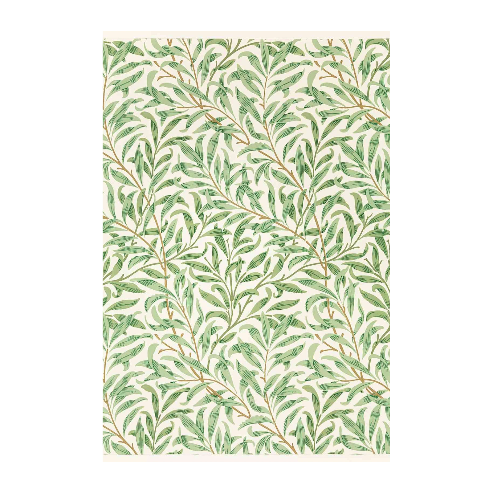 Willow Branch Botanical Art Wall Art