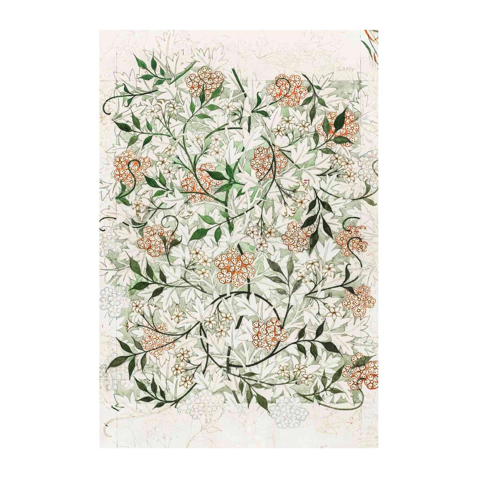 Vintage Floral Botanical Art Wall Art