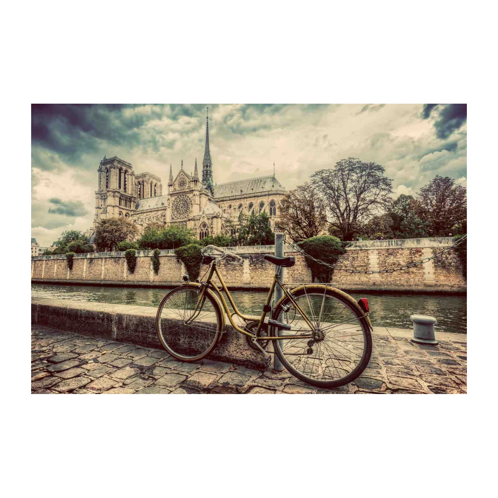 Parisian Dreamscape Notre Dame Bike Wall Art