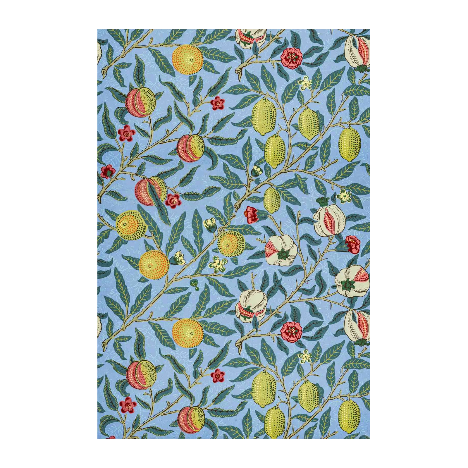 Vintage Fruit Tree Art Wall Art