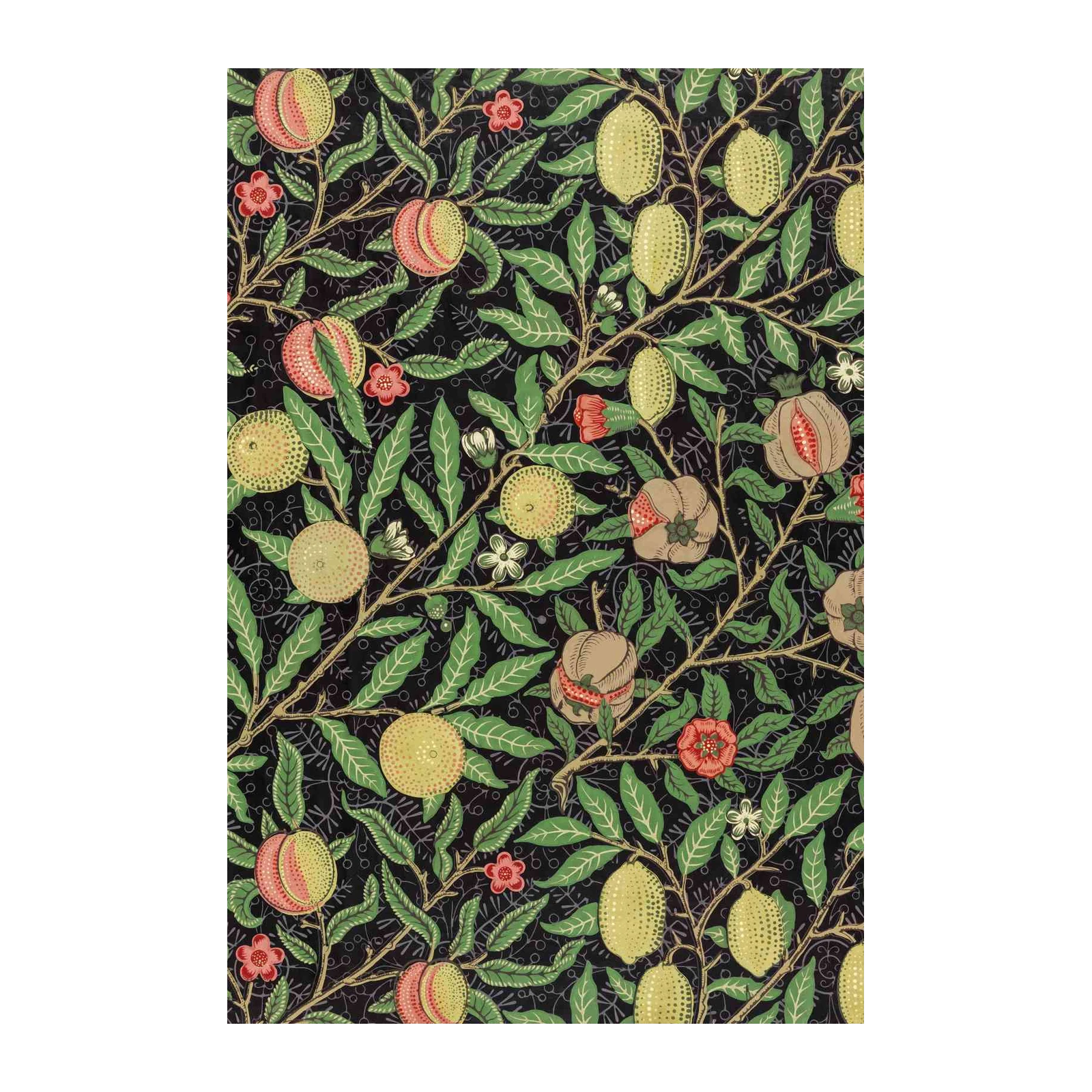 Vintage Fruit & Floral Dark Wall Art