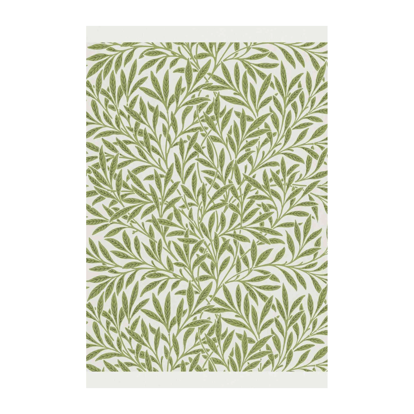 Willow Leaves Botanical Art Wall Art