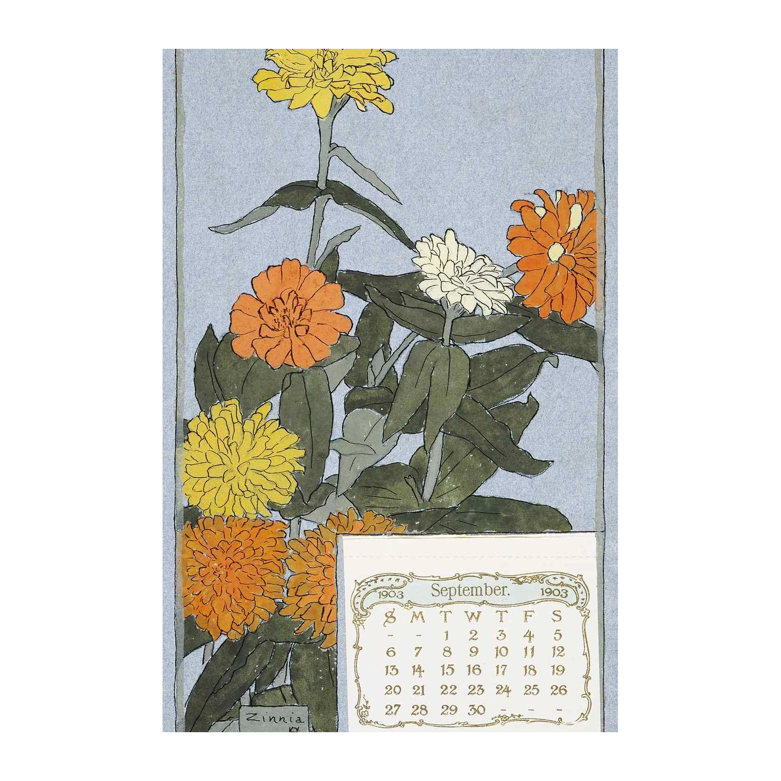 Vintage Zinnia Bloom September Calendar Wall Art