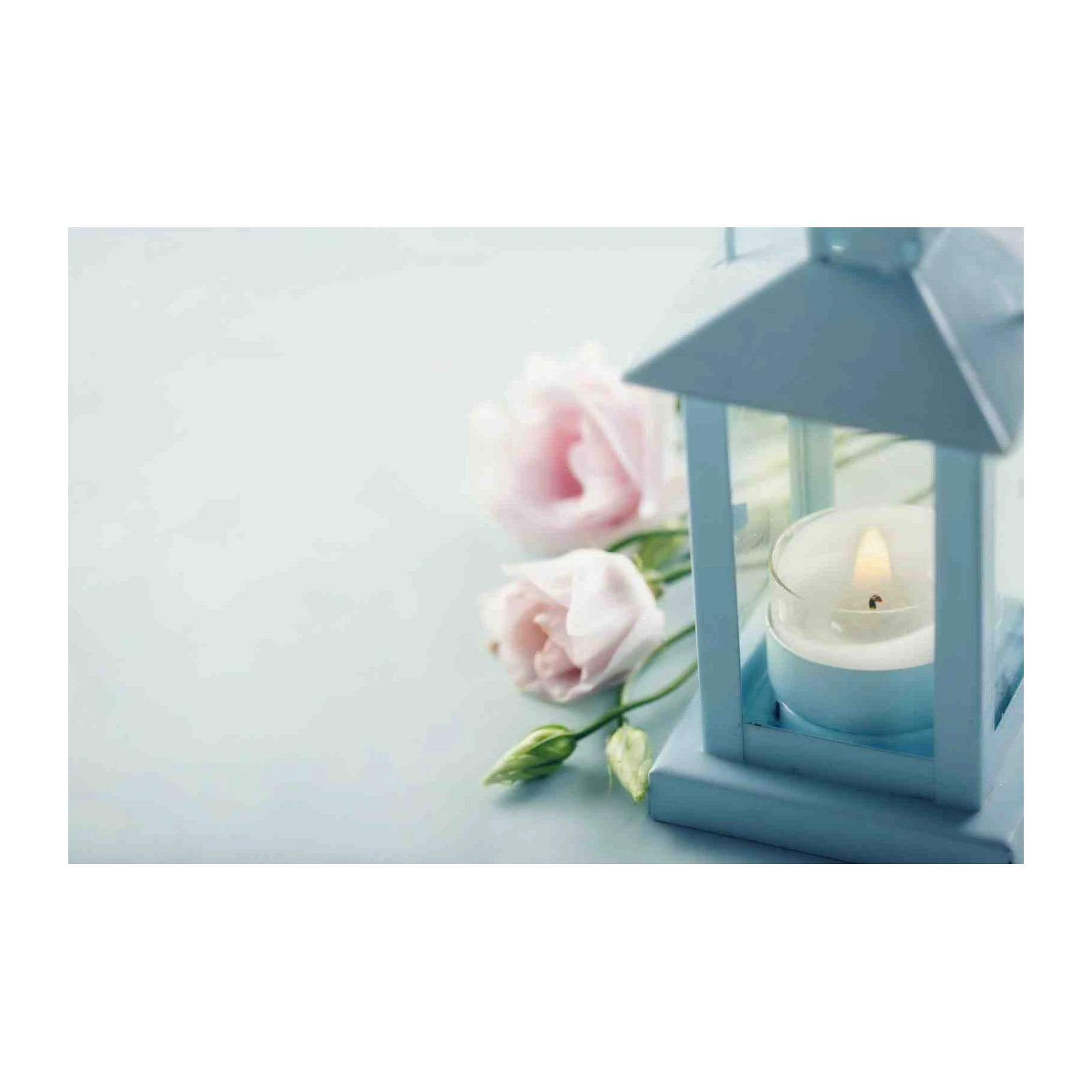 Serene Pink Roses & Blue Lantern Wall Art