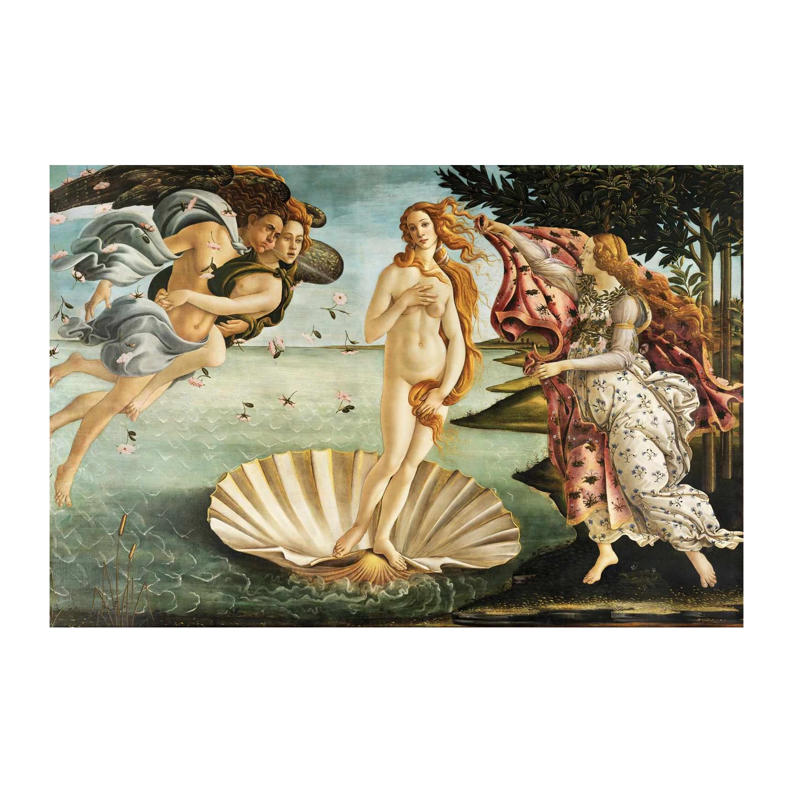 Botticelli's Birth of Venus Wall Art