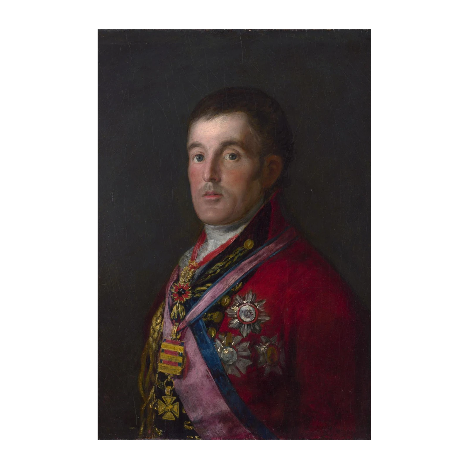 Regal Portrait of a Commander Wall Art