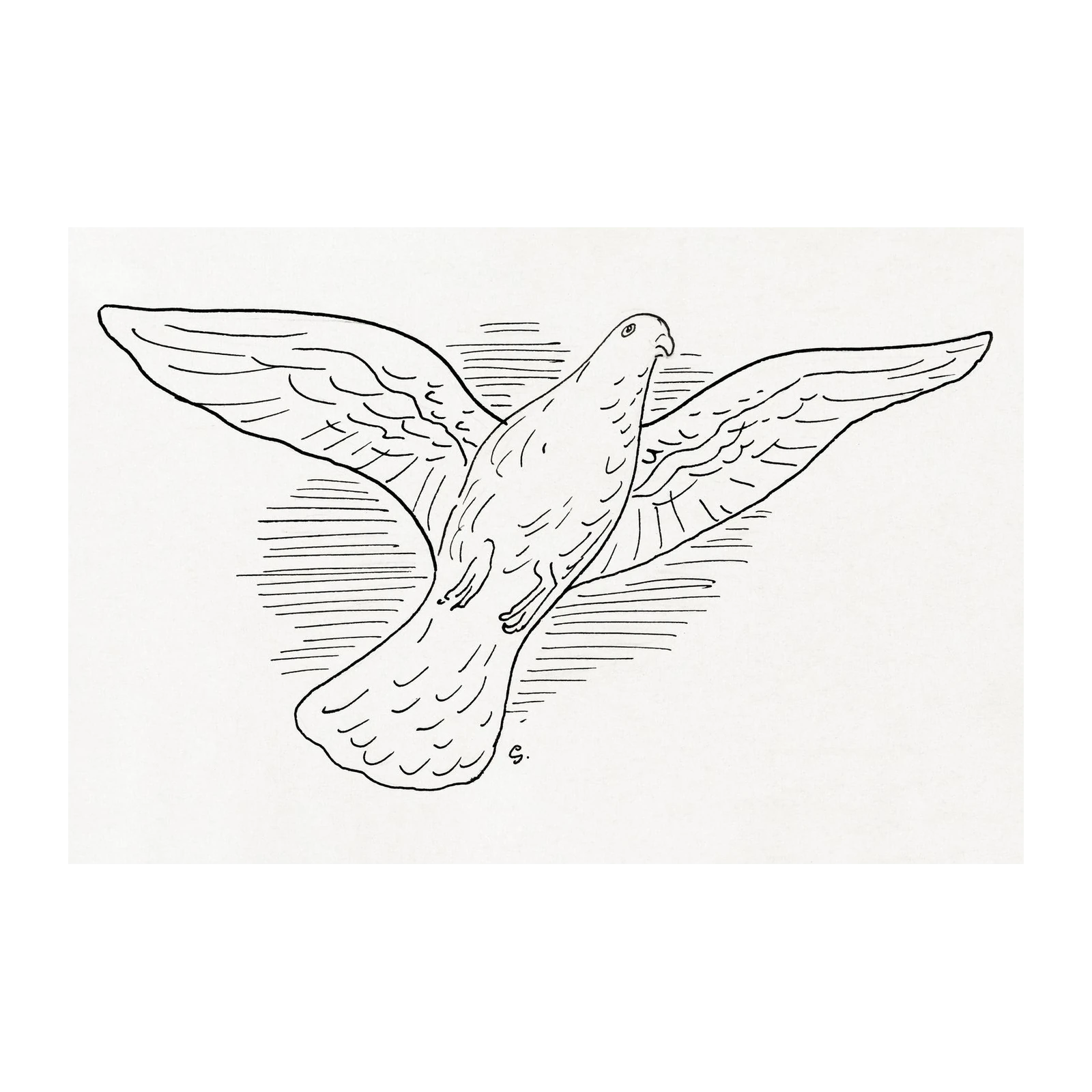 Elegant Dove in Flight Line Art Wall Art
