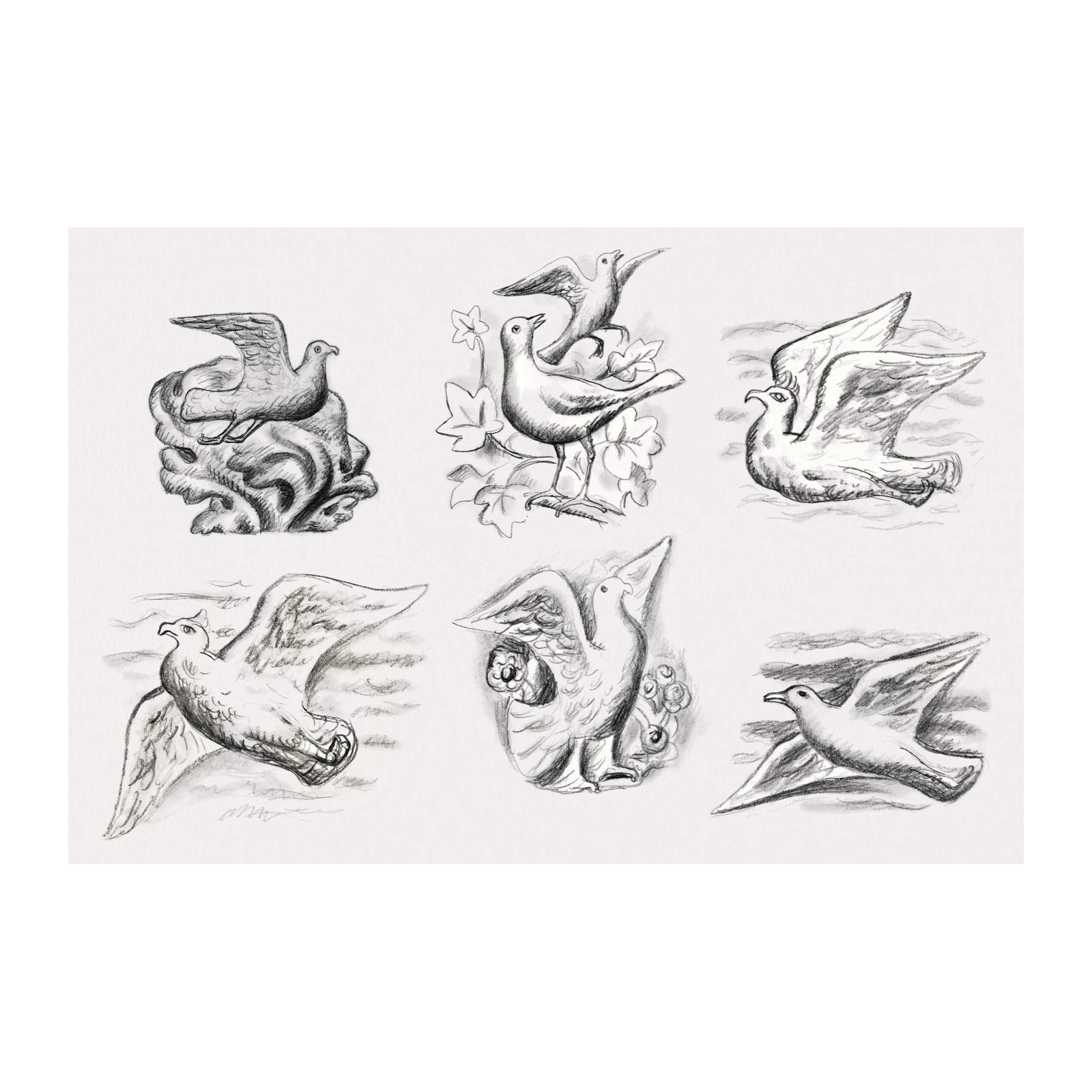 Elegant Bird Sketches Fine Art Wall Art