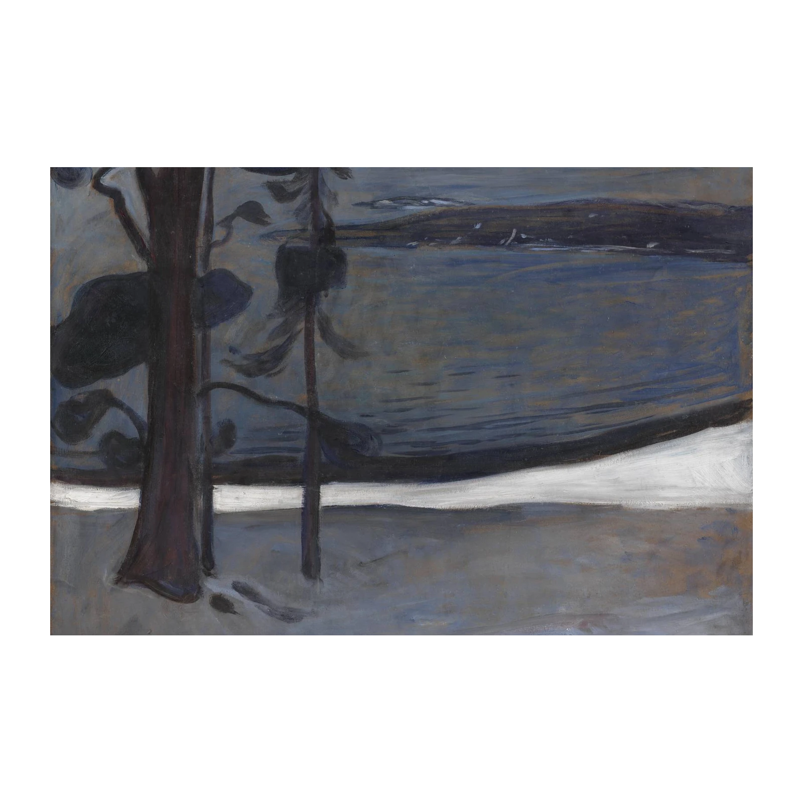 Midnight Forest & Lake Wall Art | Nature Landscape