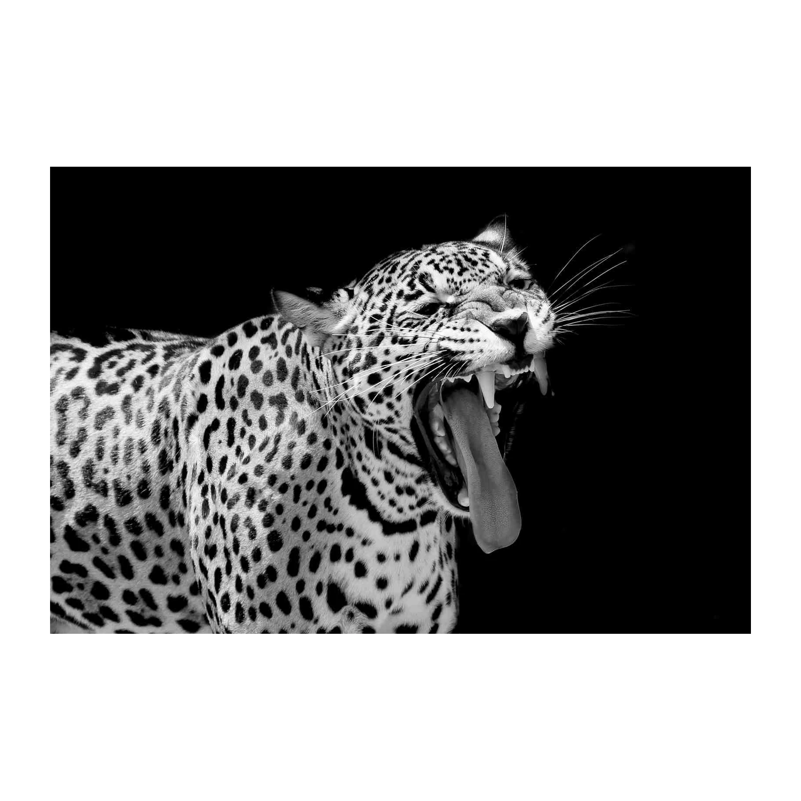 Majestic Jaguar Roar Black & White Wall Art
