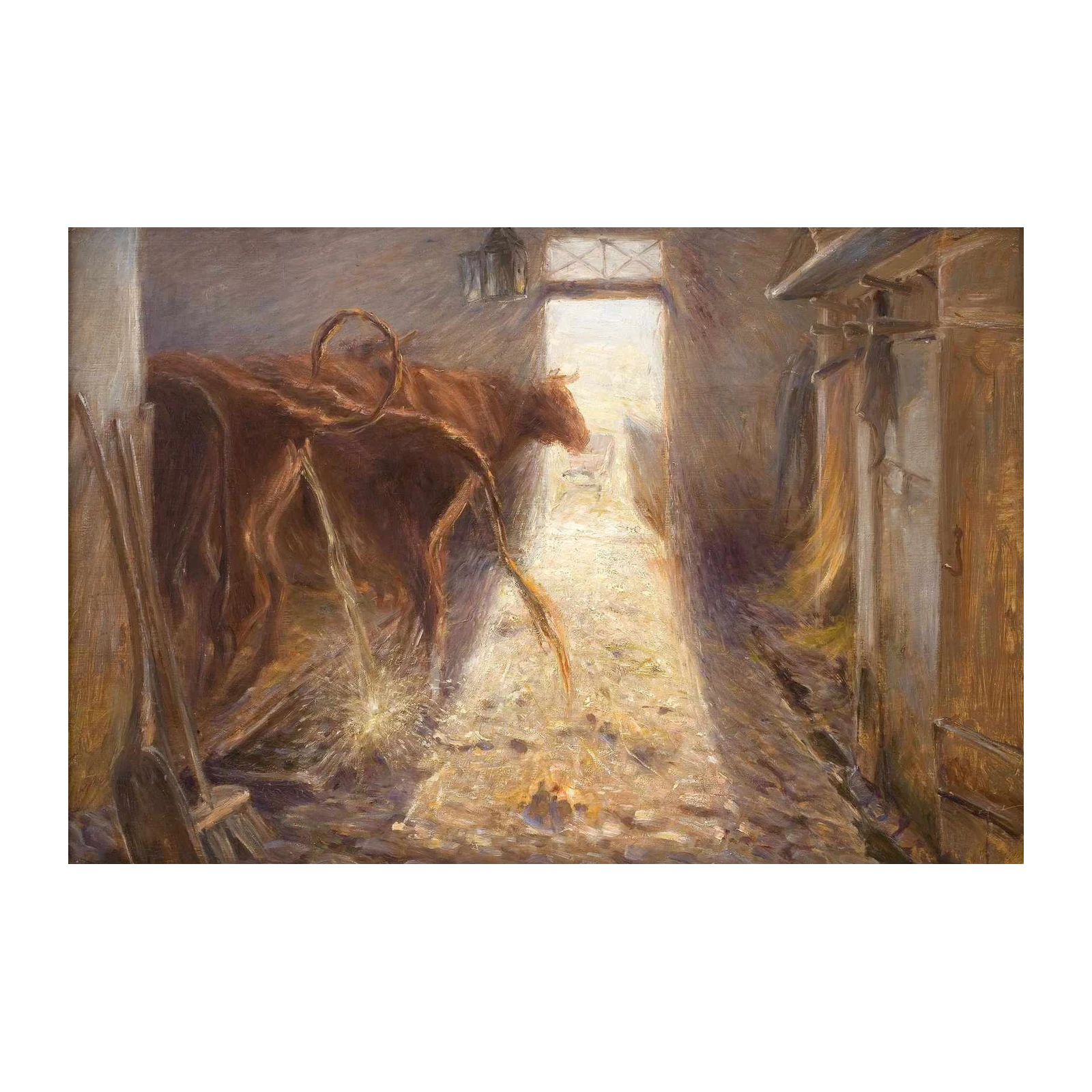Farmhouse Cattle Sunlight Wall Art