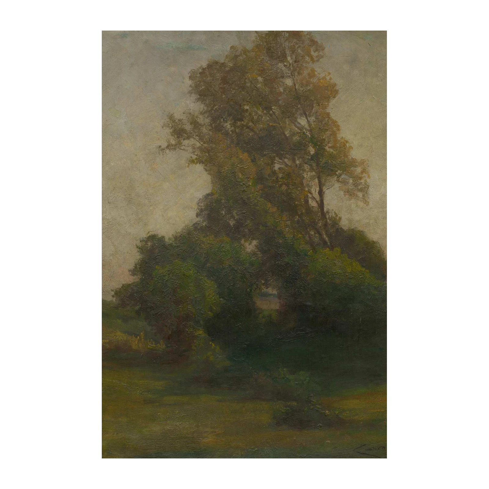 Serene Meadow Trees Wall Art