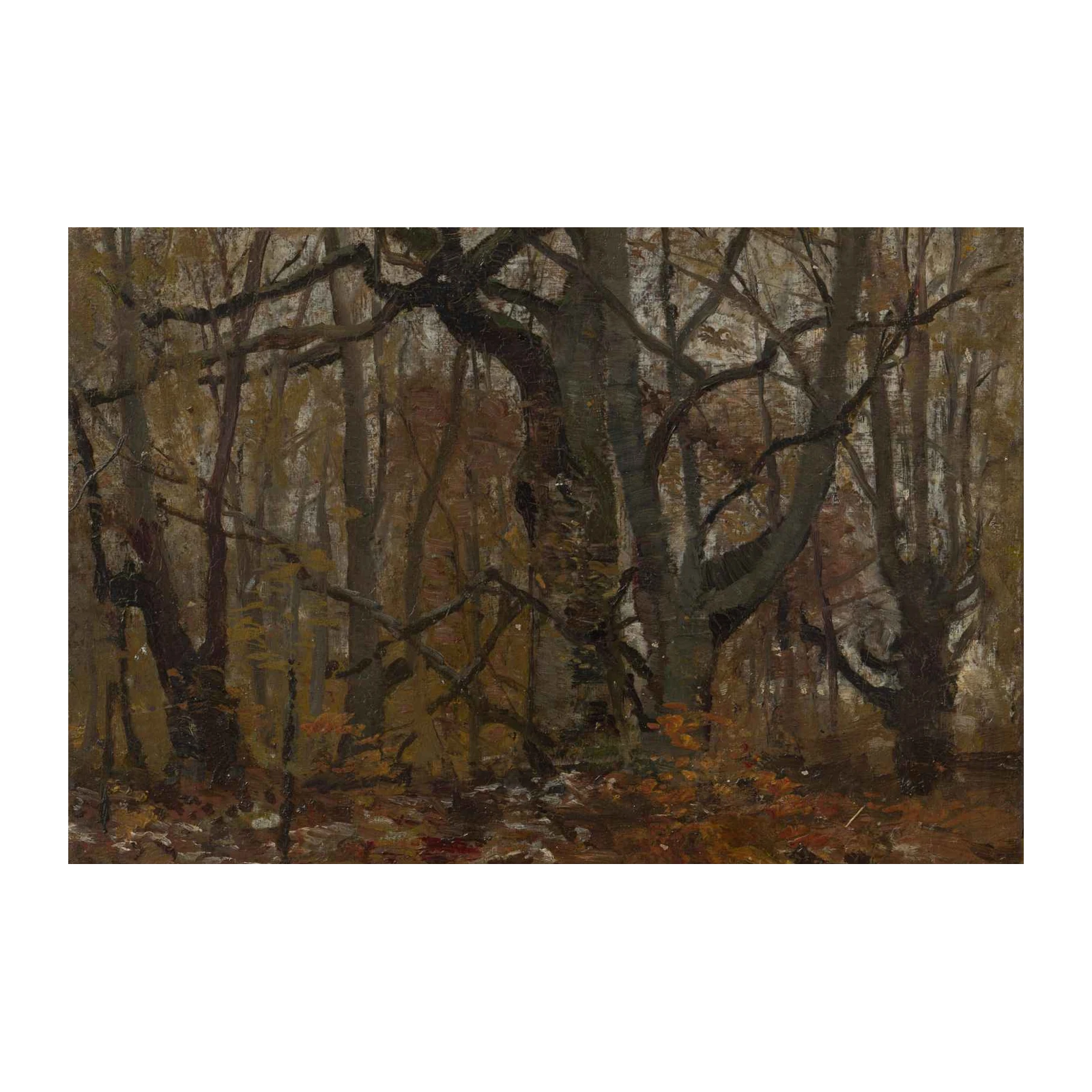 Atmospheric Forest Scene Autumnal Wall Art