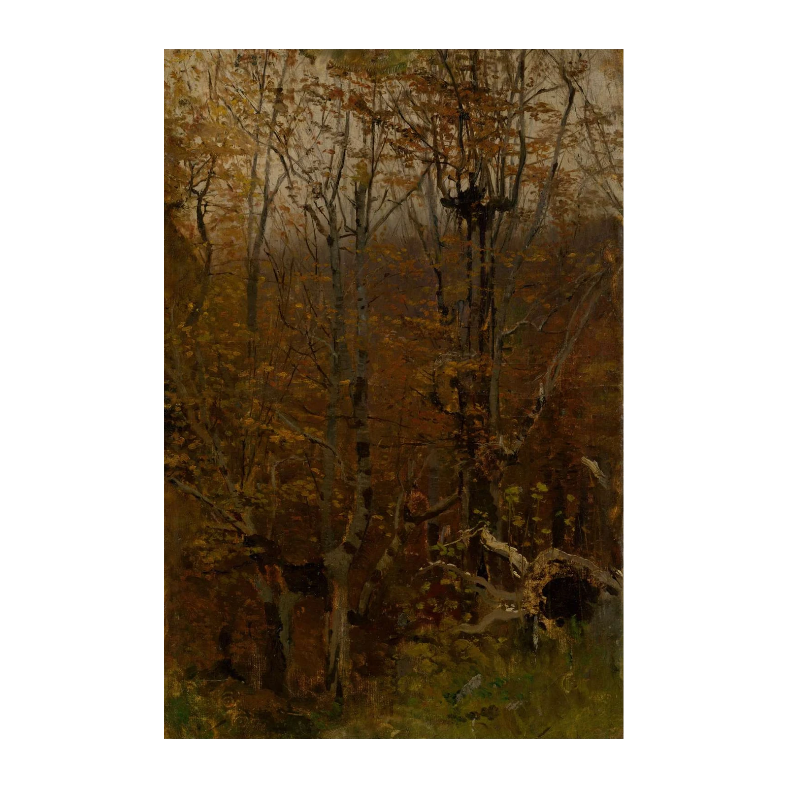 Autumn Forest Serenity Wall Art