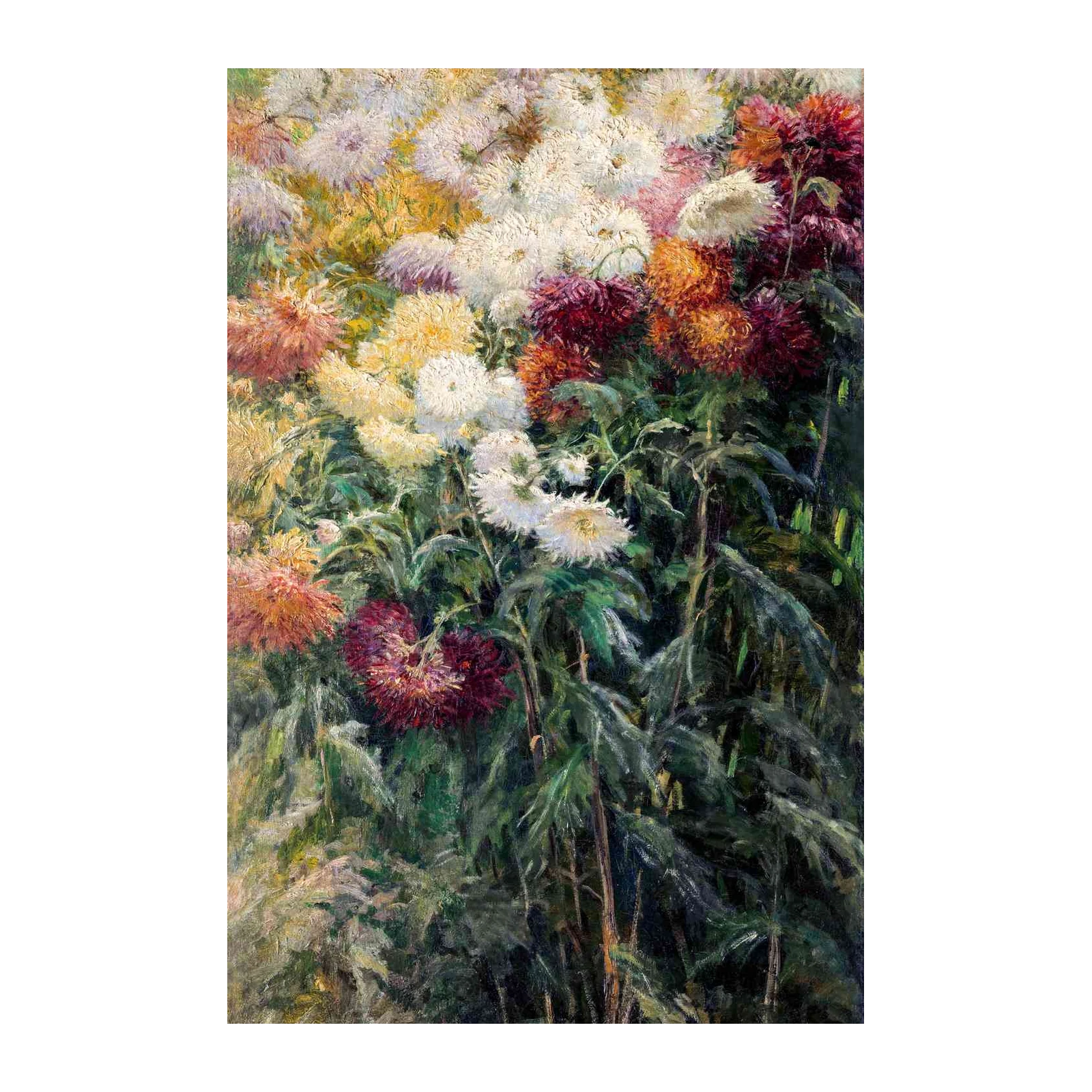 Vibrant Chrysanthemum Garden Wall Art