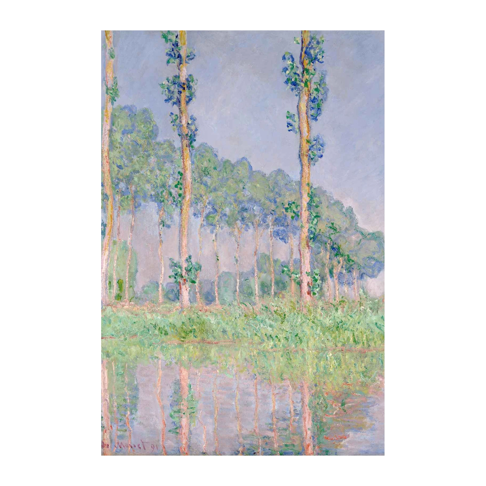 Serene Poplars Reflection Wall Art
