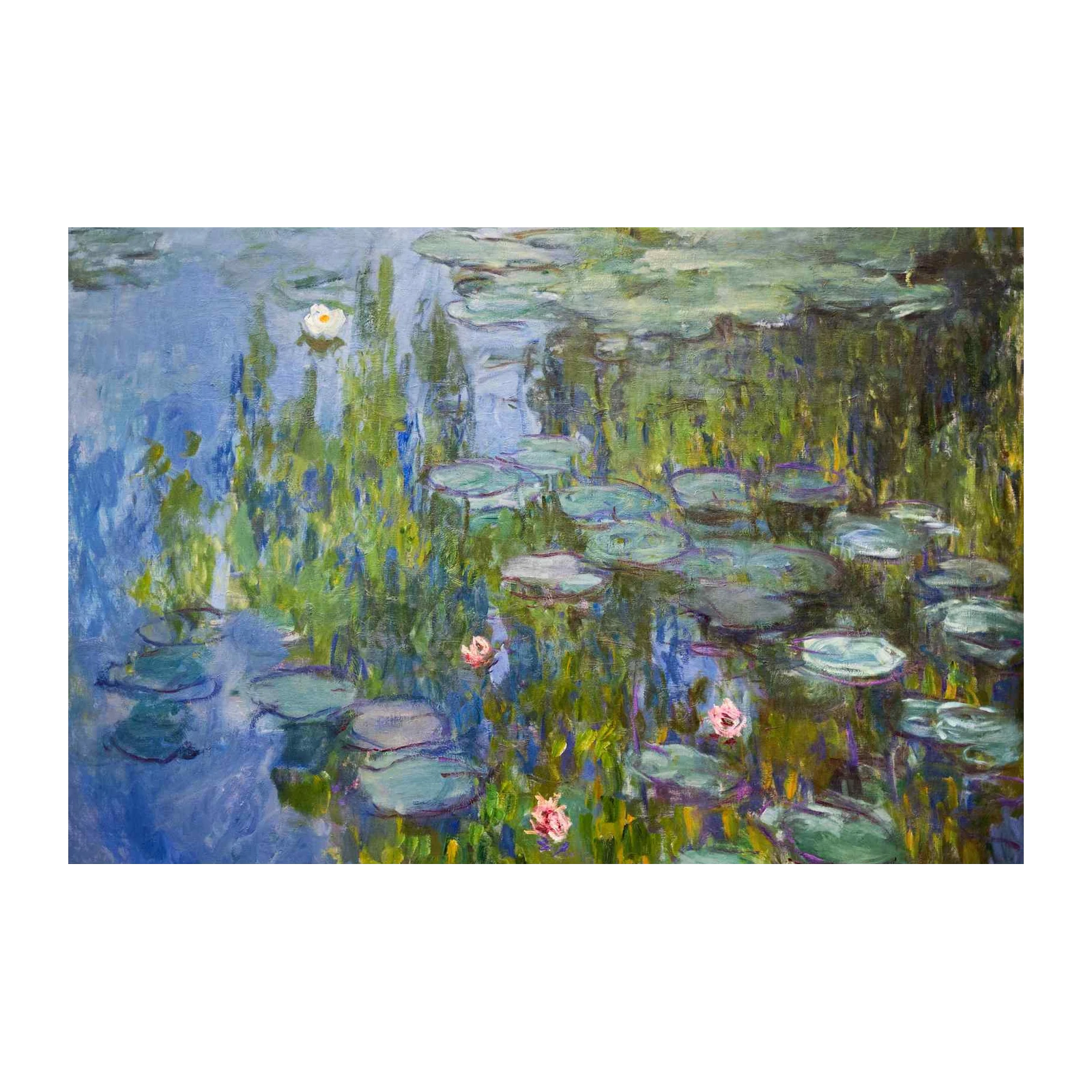 Monet Water Lilies Serenity Wall Art