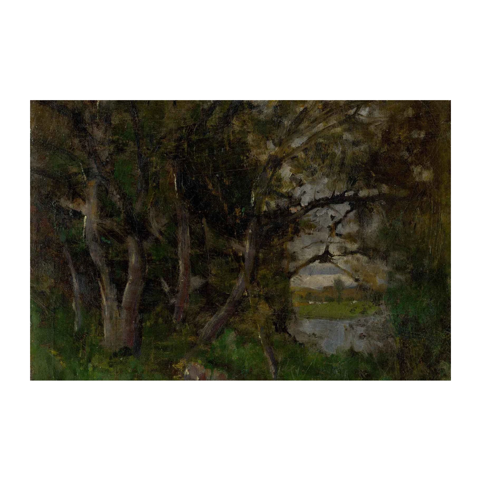 Enchanting Forest Glade Landscape Wall Art