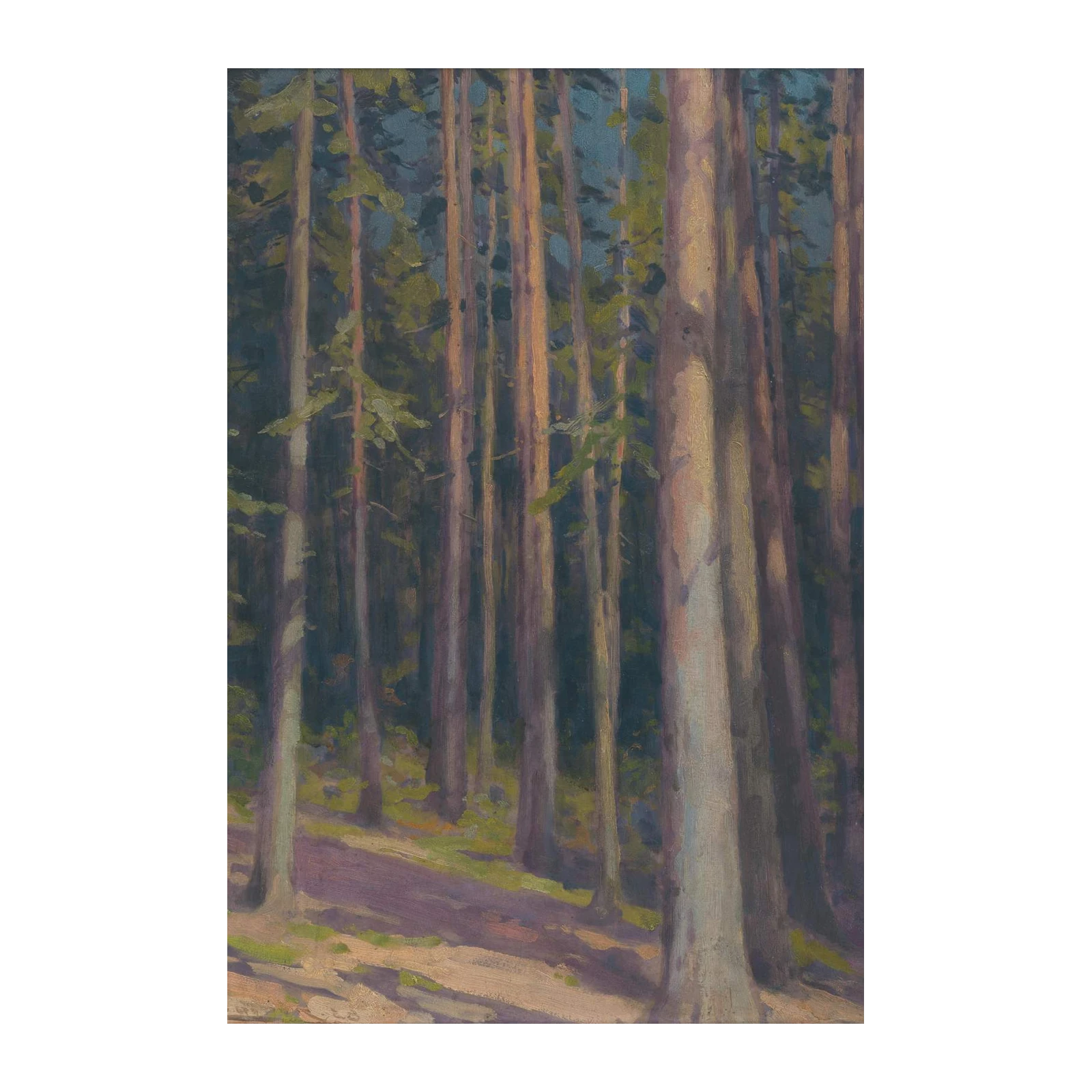 Serene Forest Sunlight Landscape Wall Art