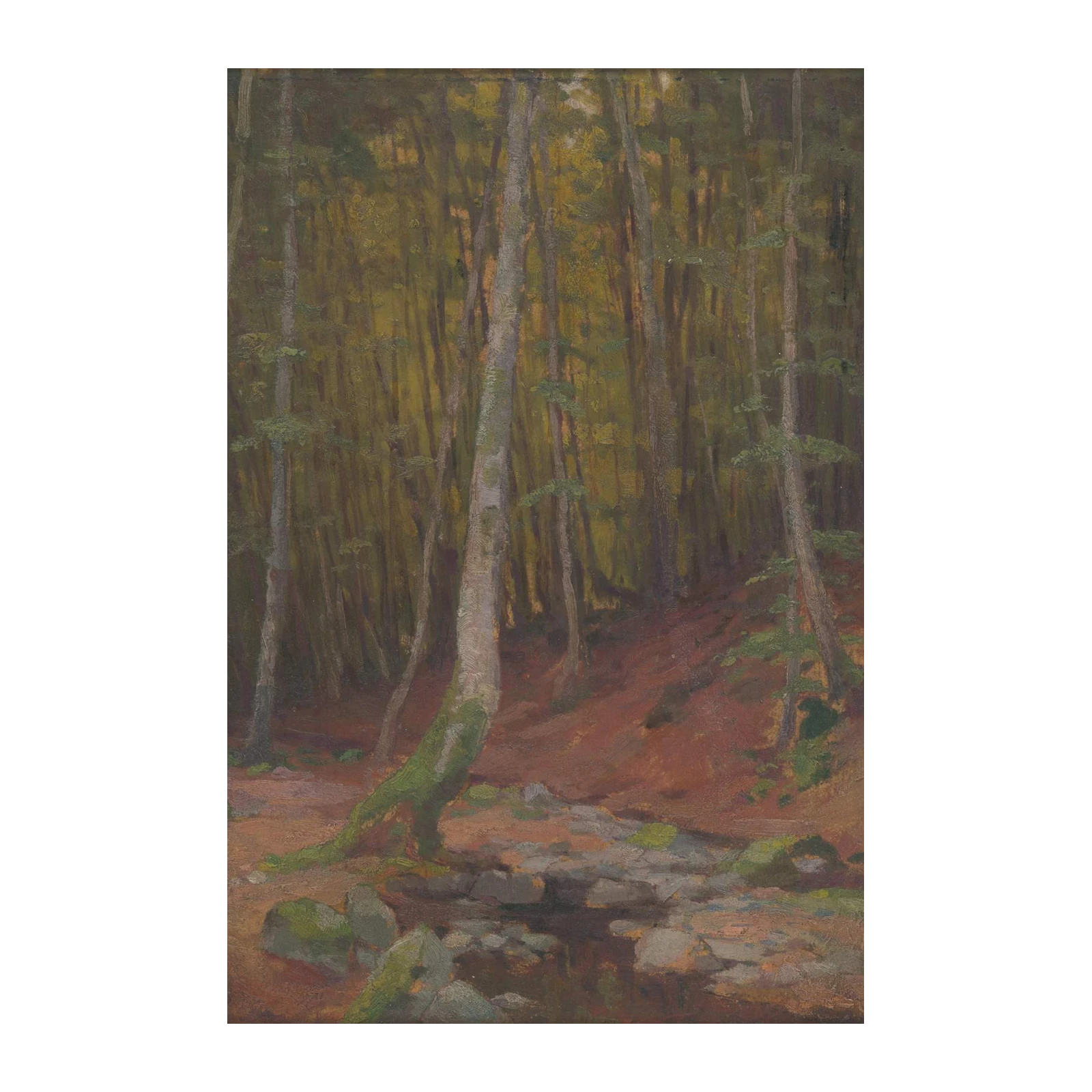 Enchanting Forest Landscape Wall Art