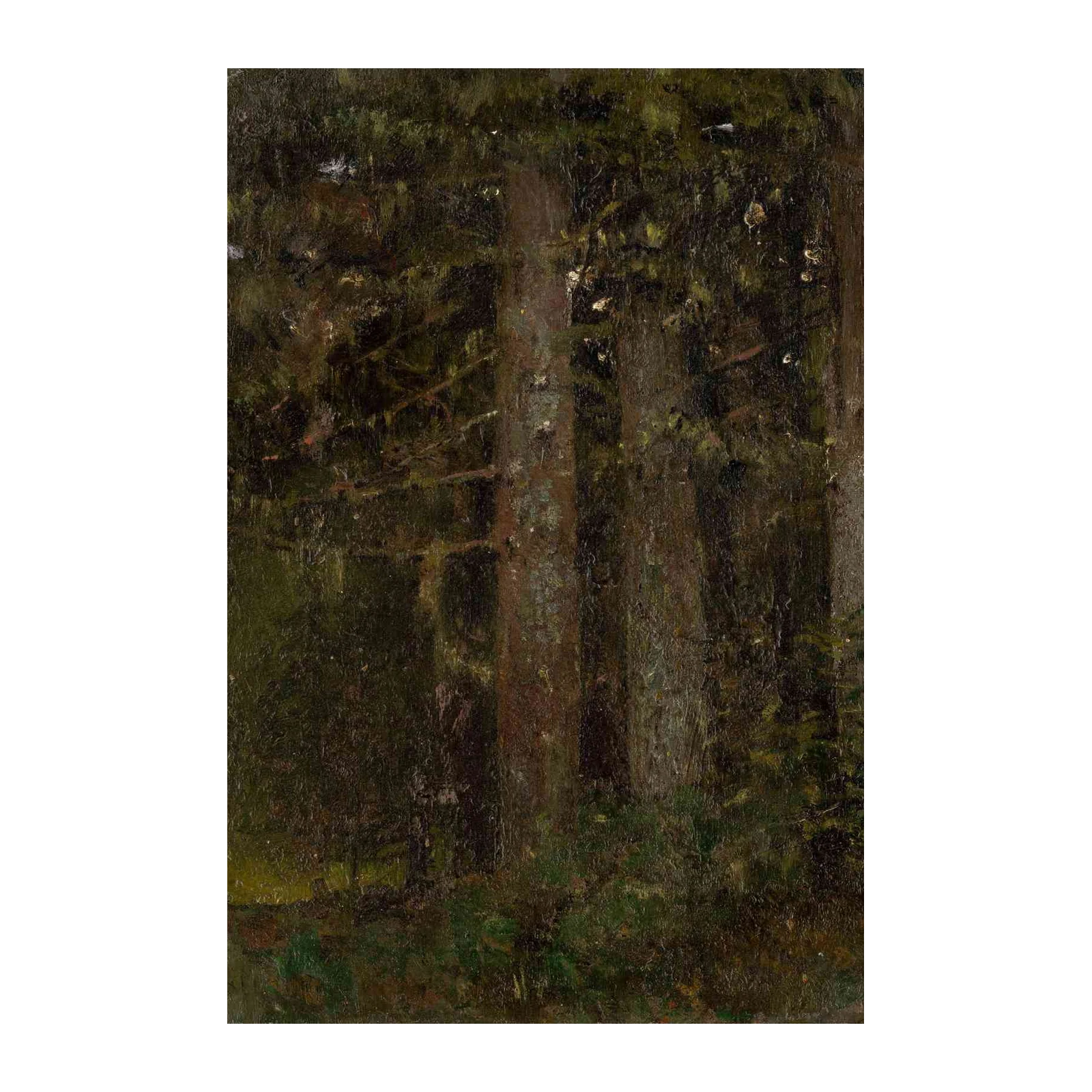 Enchanting Forest Serenity Oil Painting Wall Art