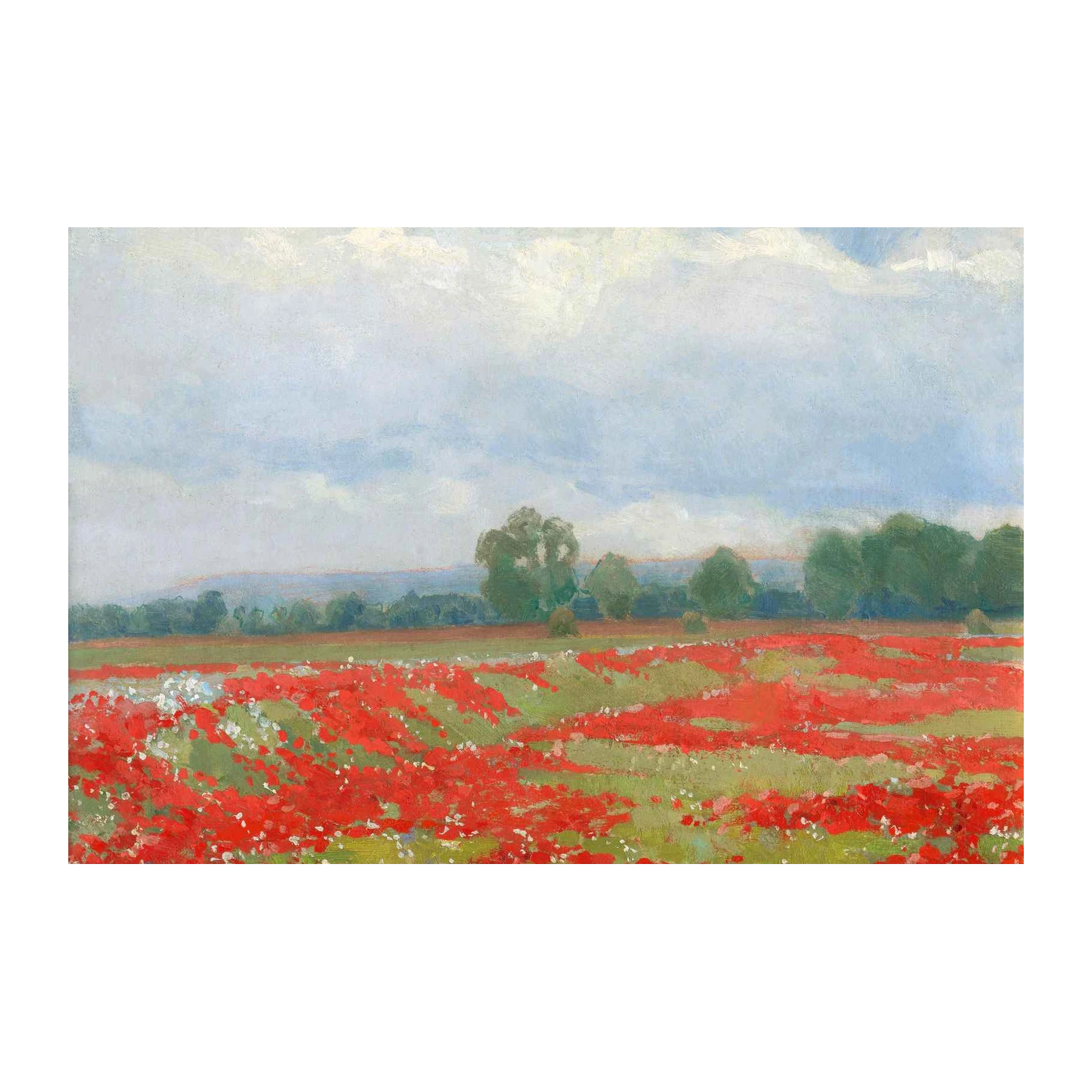 Vibrant Red Poppy Field Landscape Wall Art