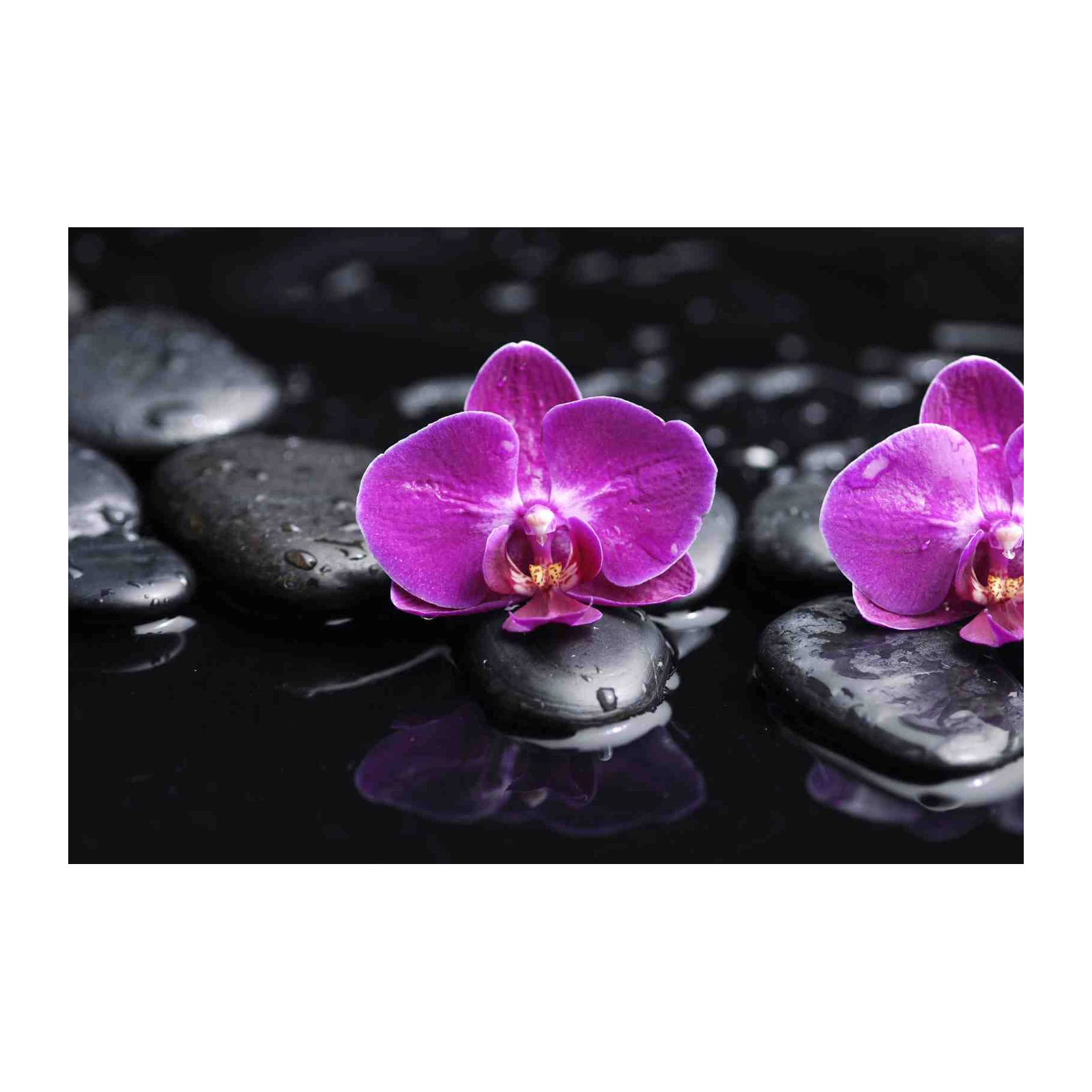 Zen Purple Orchid Spa Stones Wall Art