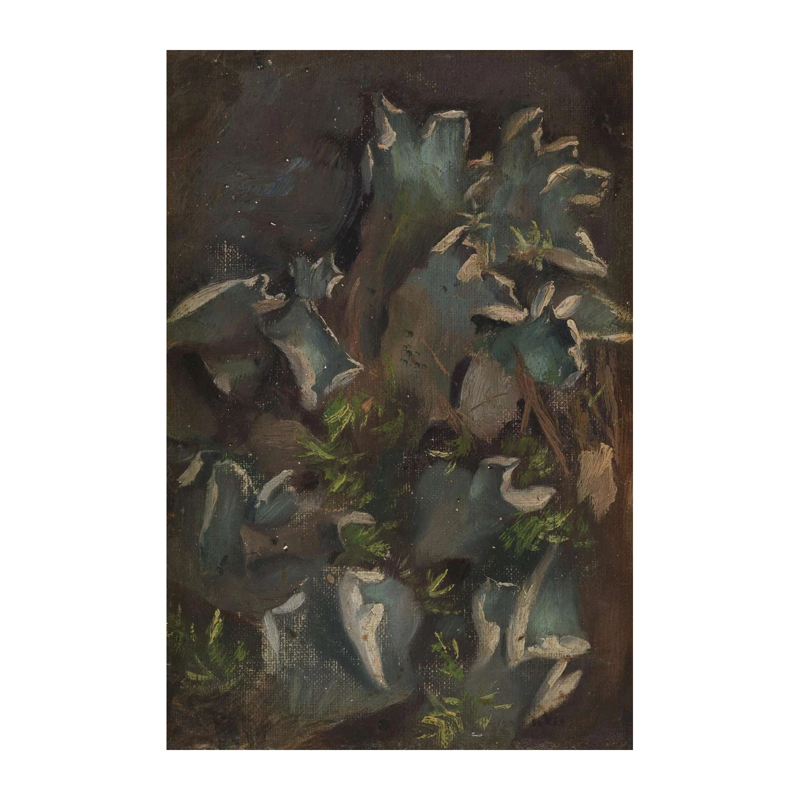 Mysterious Forest Fungus Art Wall Art