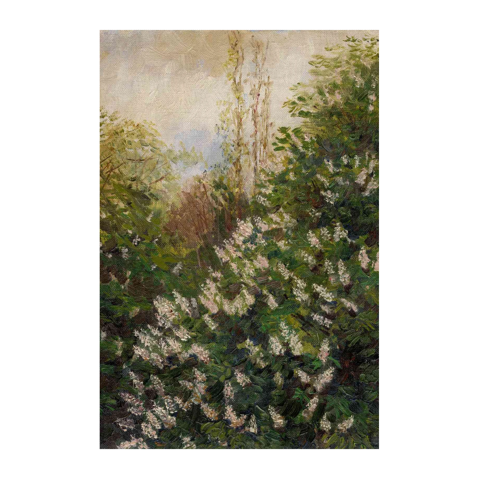 Nature's Bloom Chestnut Blossom Wall Art