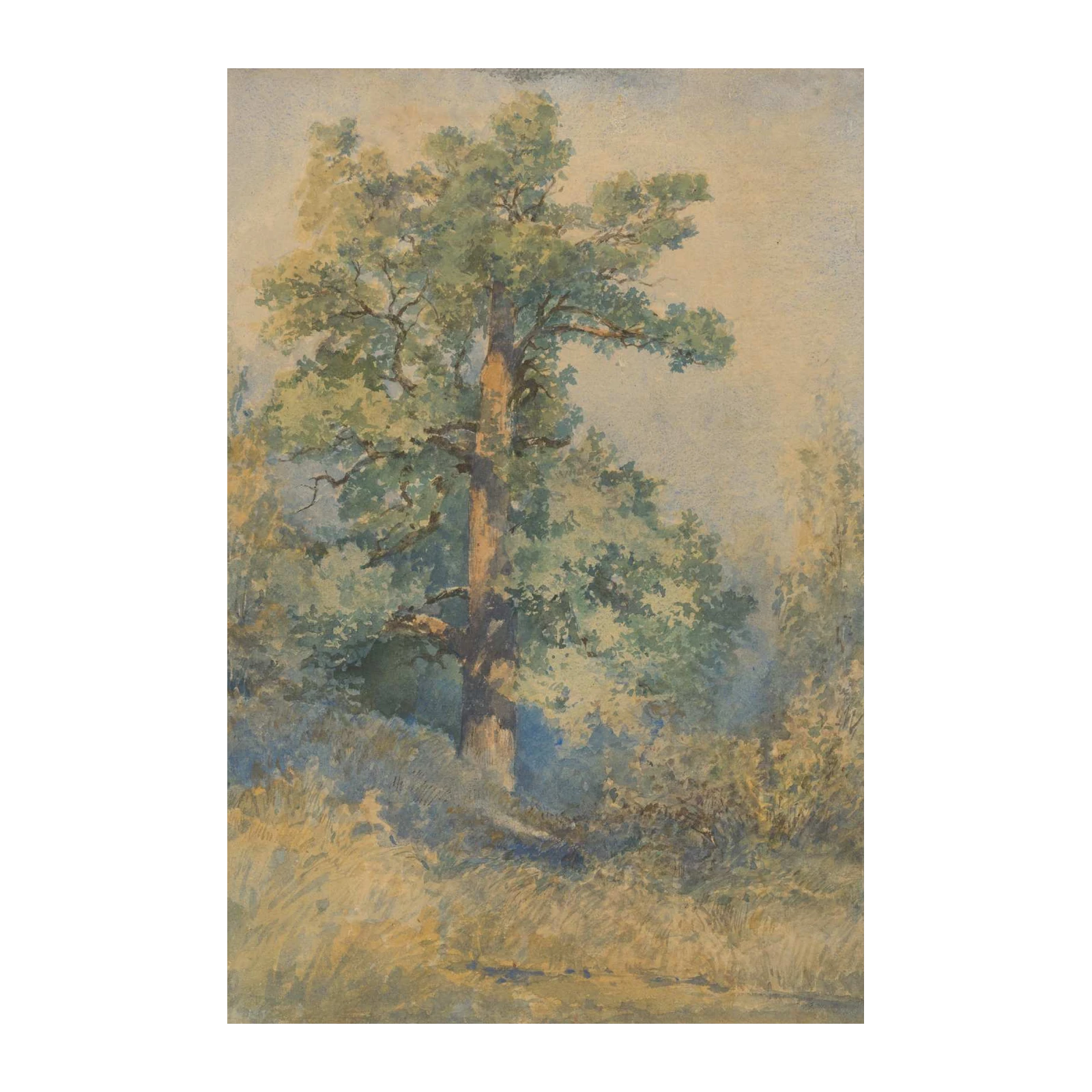 Serene Oak Tree Nature Watercolor Wall Art