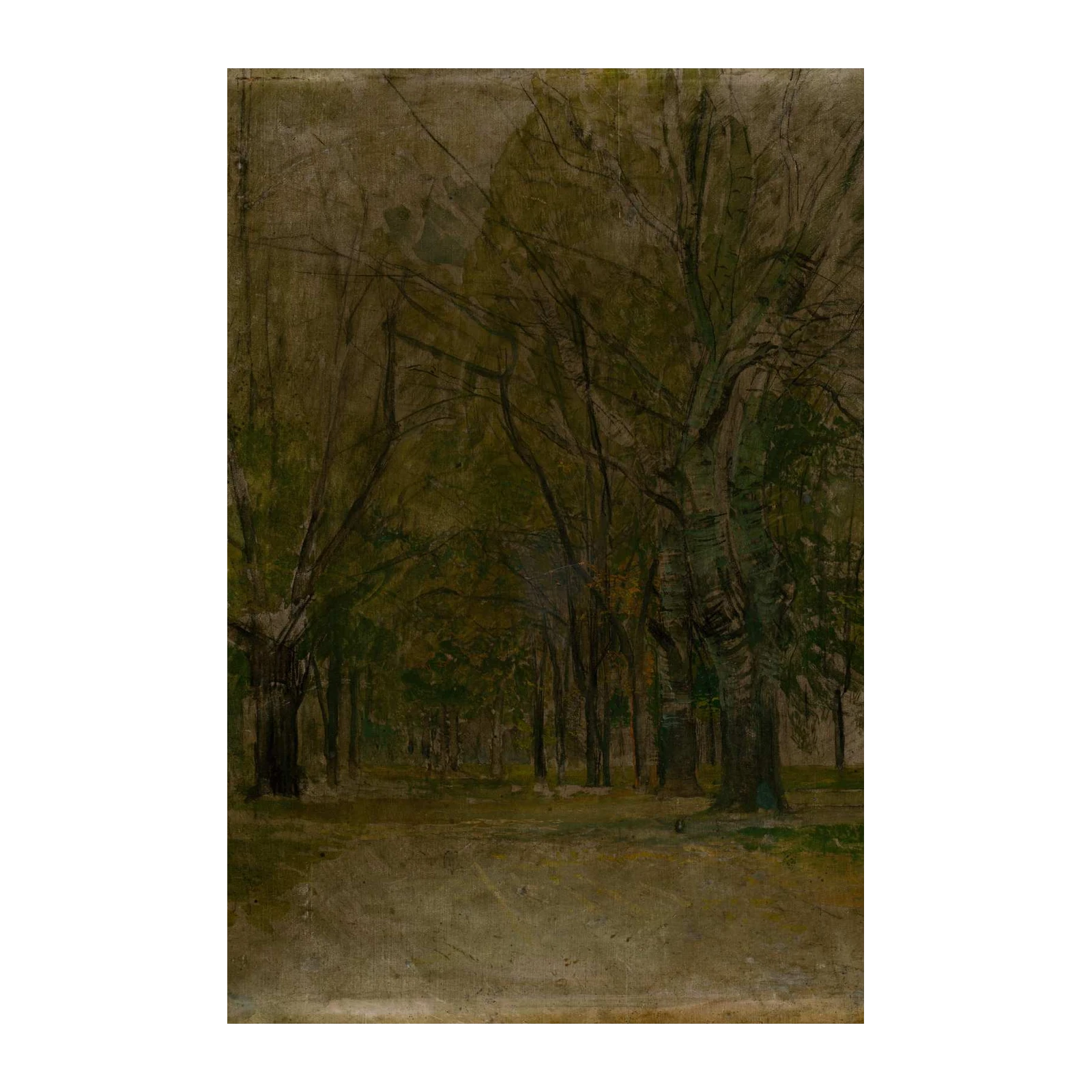 Moody Forest Path Wall Art