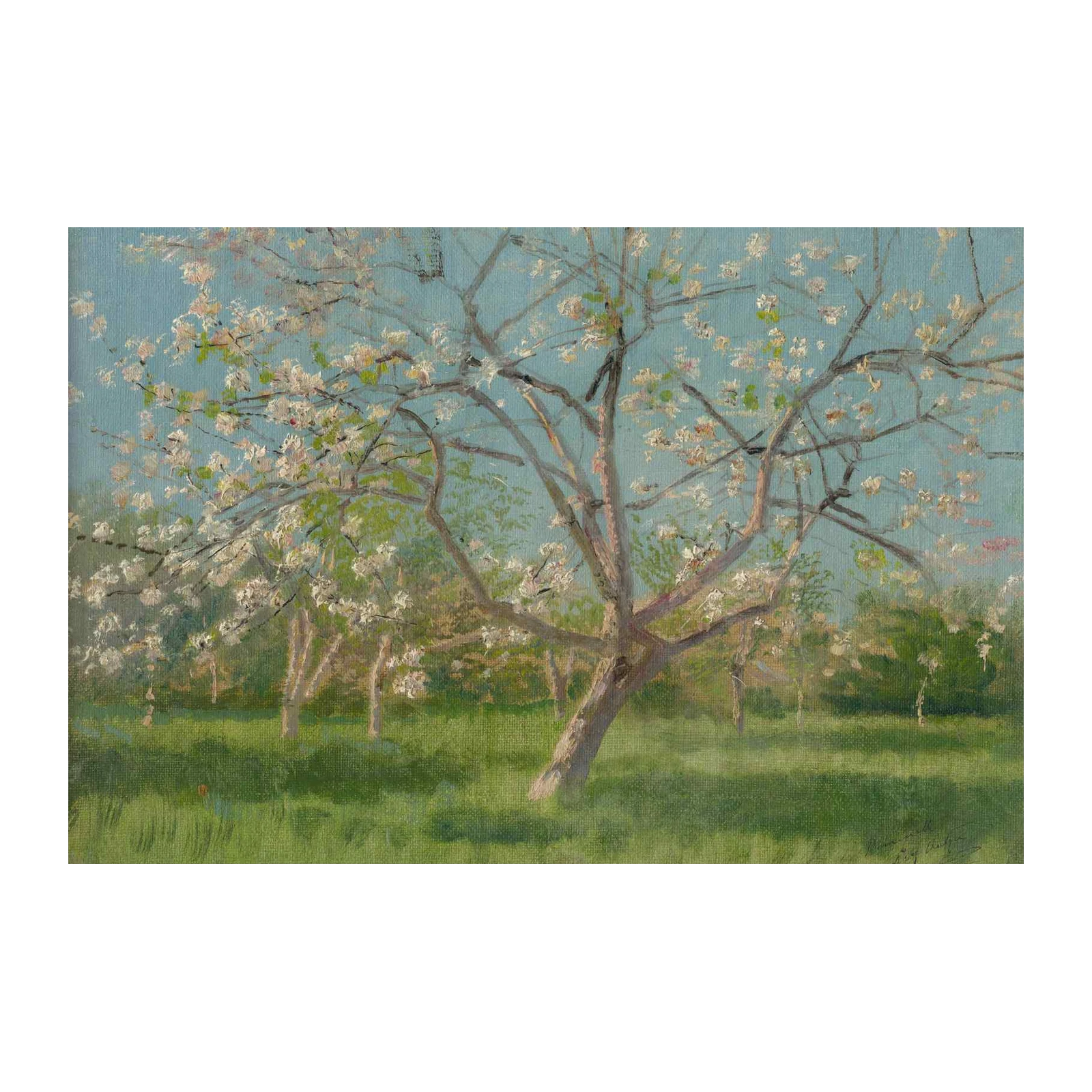 Blooming Orchard Spring Tree Wall Art