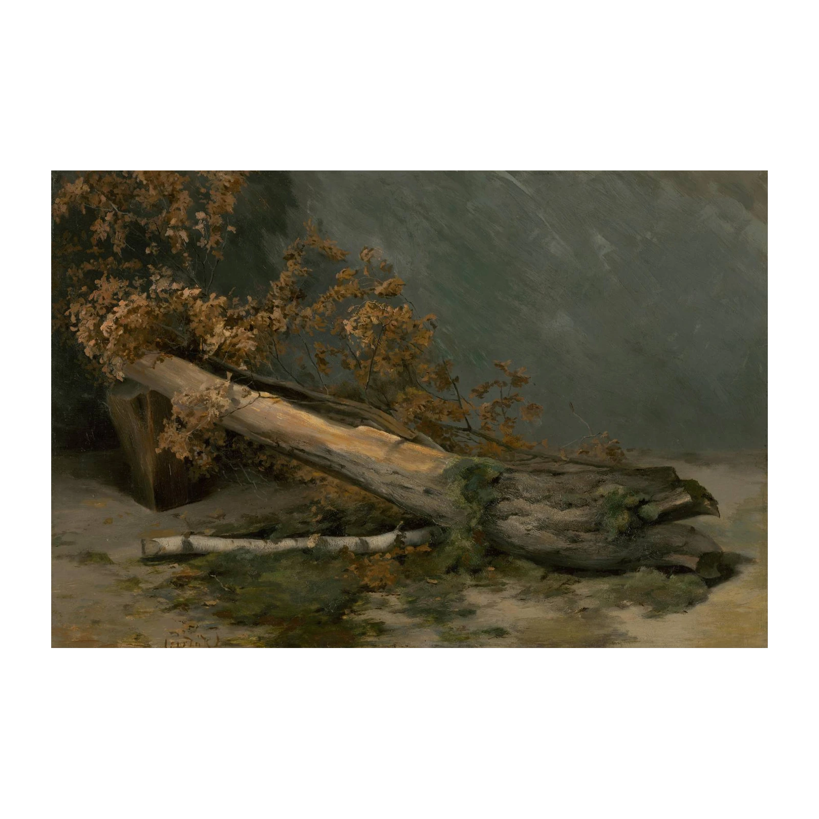 Fallen Oak Landscape Wall Art