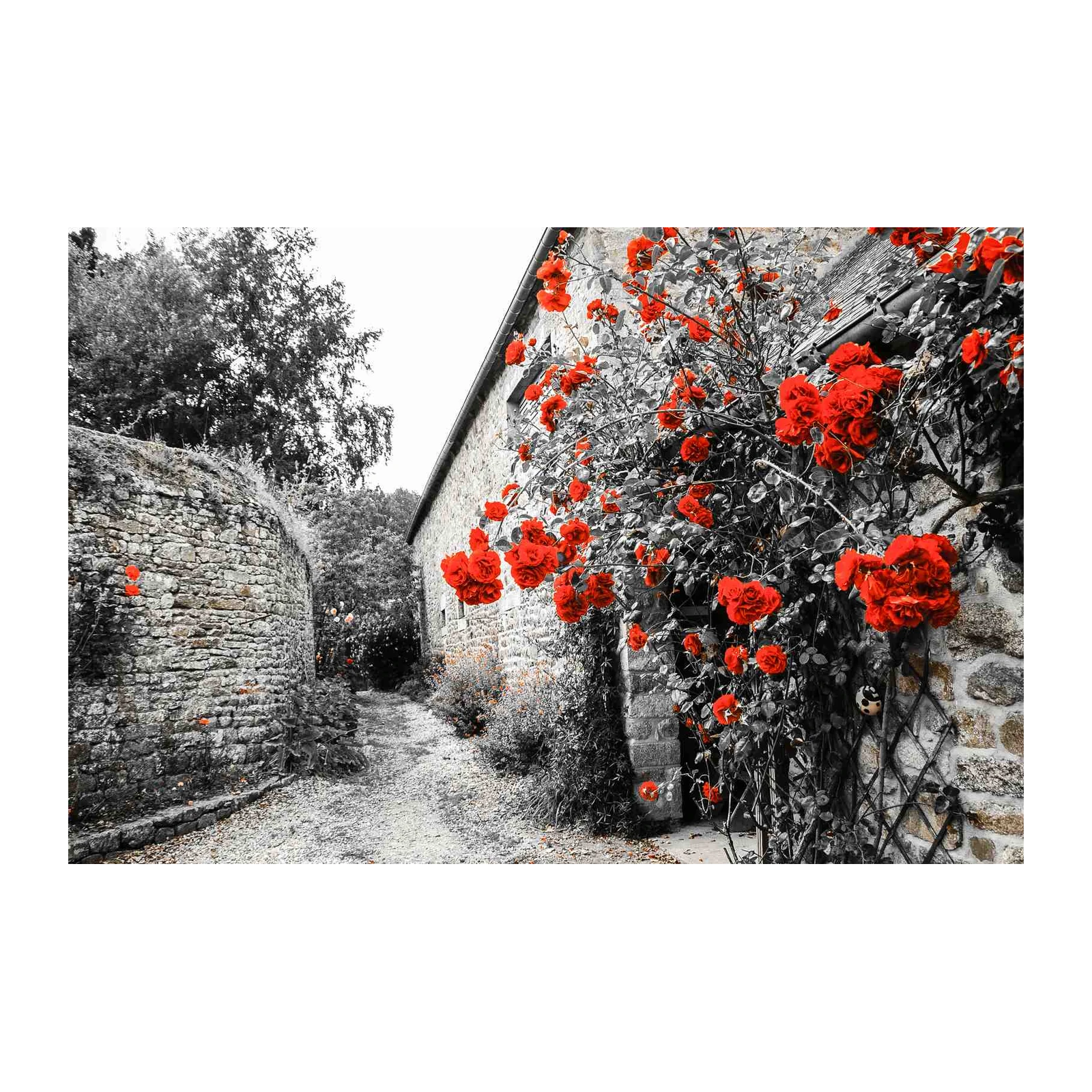 Vibrant Red Roses Countryside Wall Art