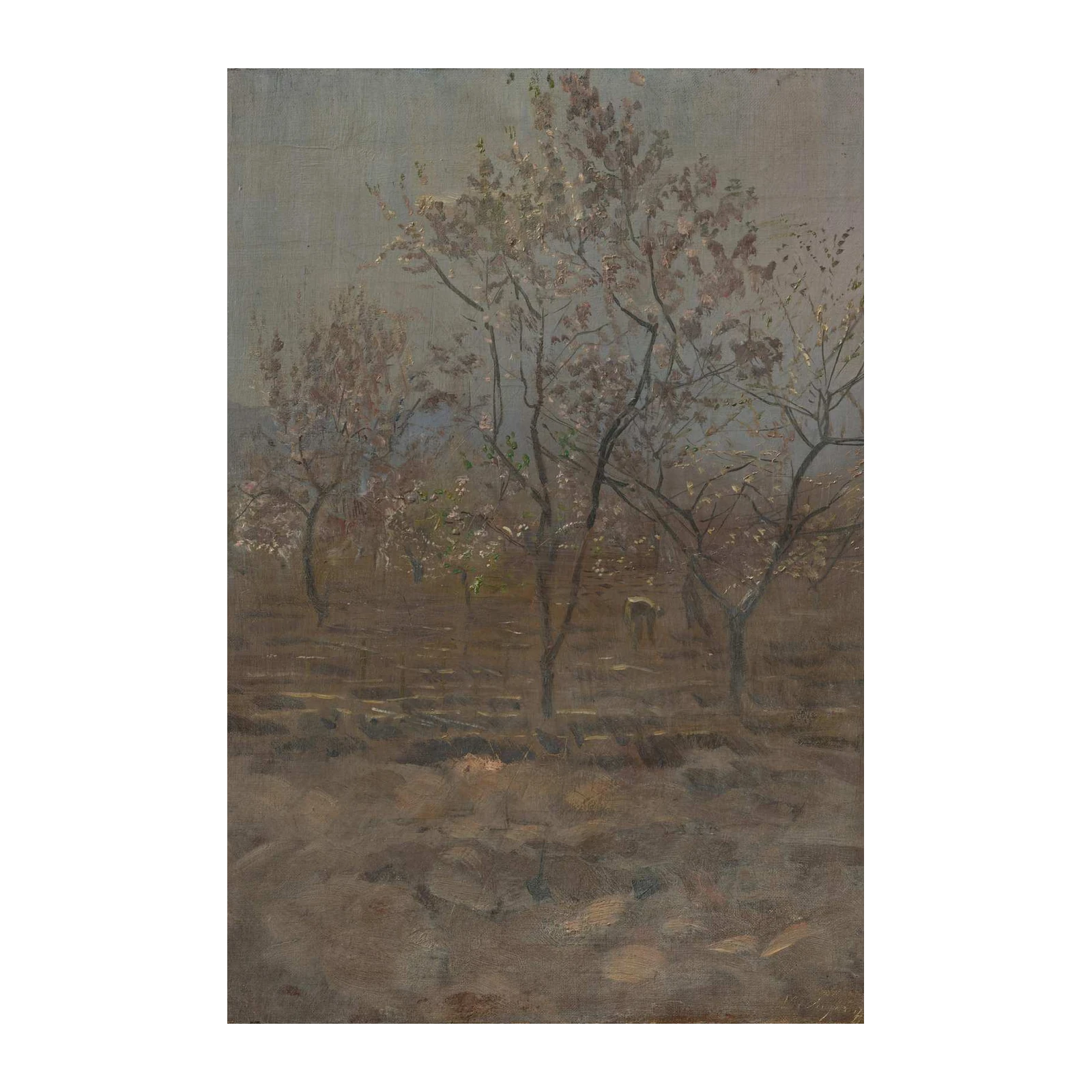 Serene Blossom Trees Landscape Wall Art