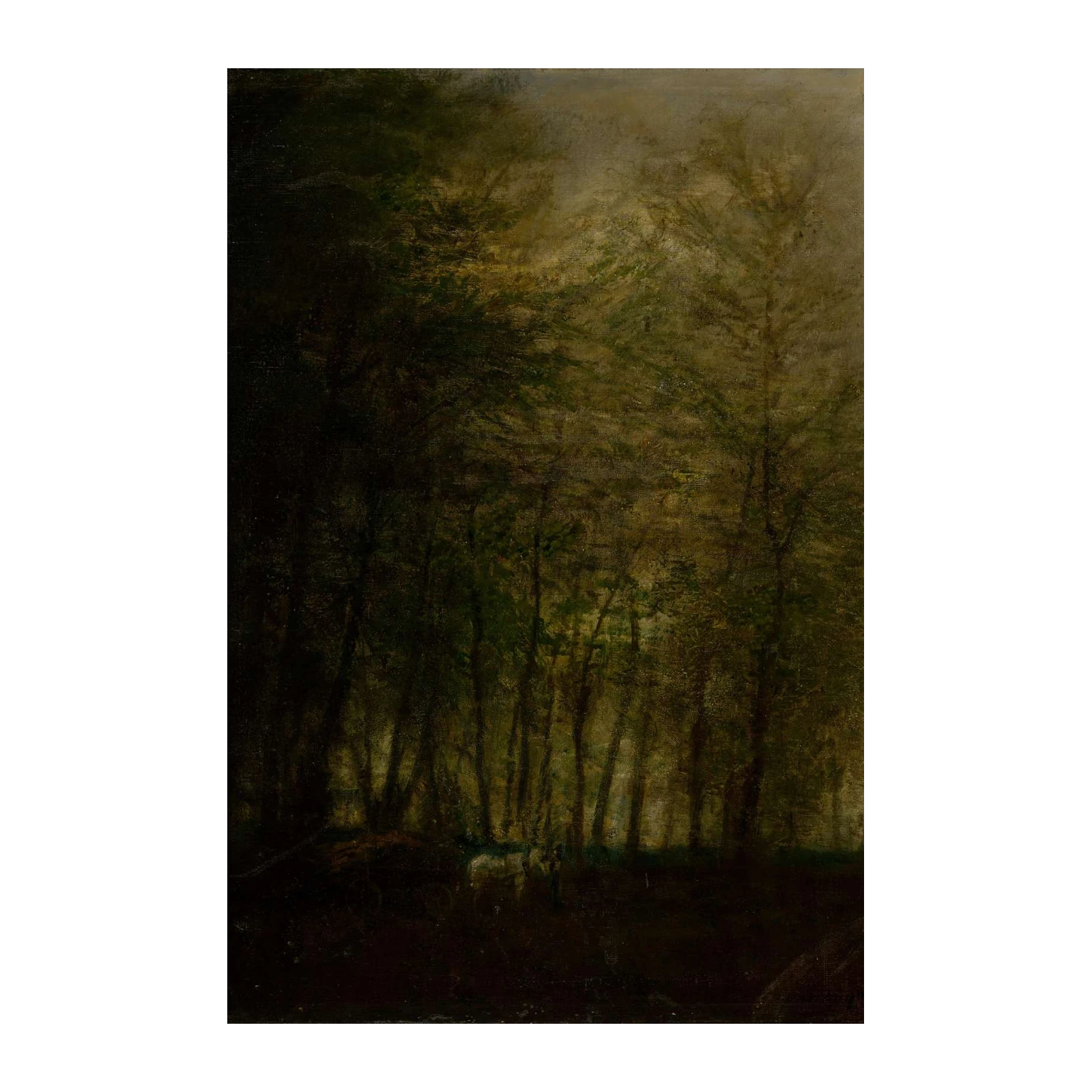 Mysterious Forest Landscape Wall Art