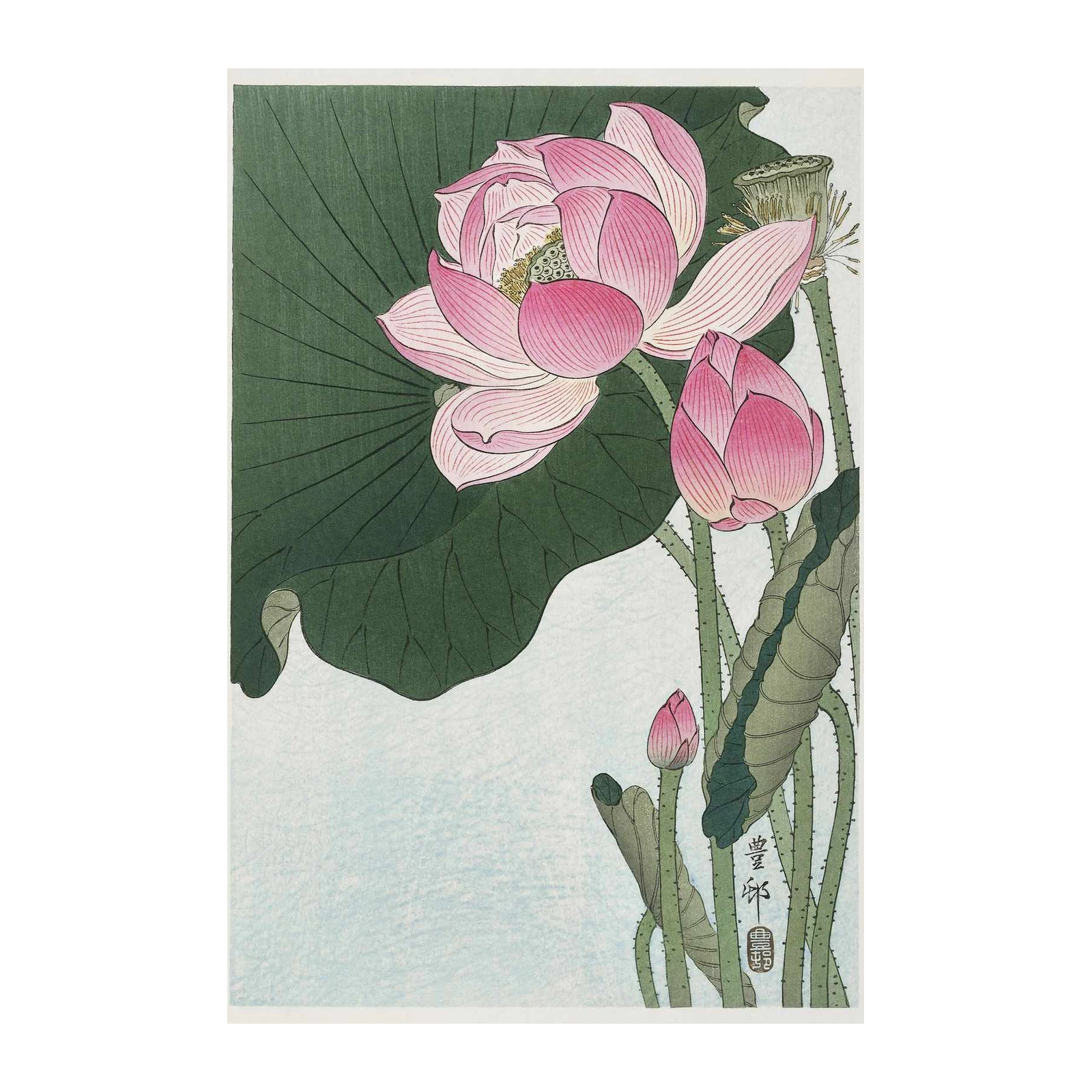 Serene Pink Lotus Flowers Wall Art