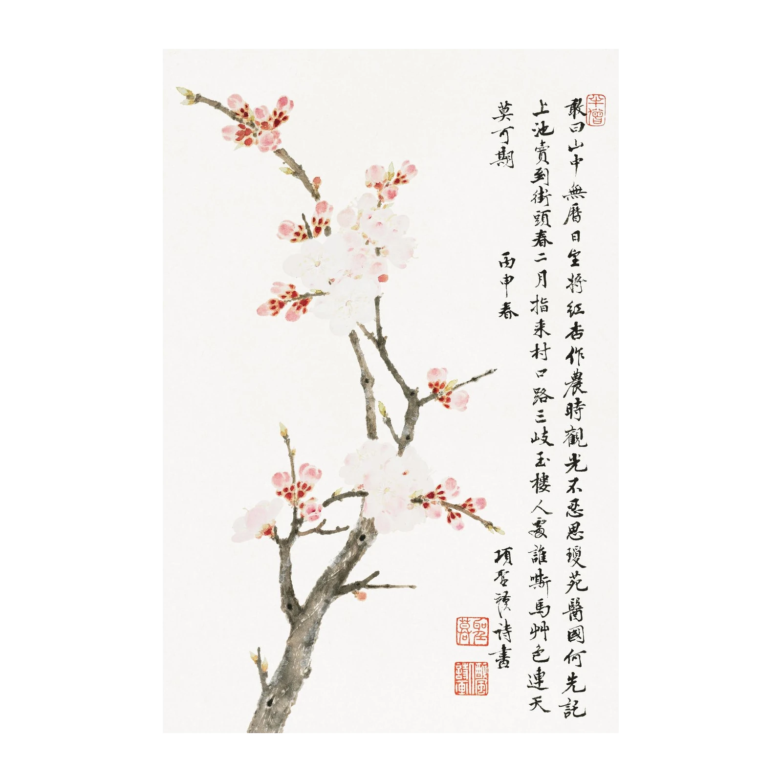 Delicate Cherry Blossom Branch Wall Art