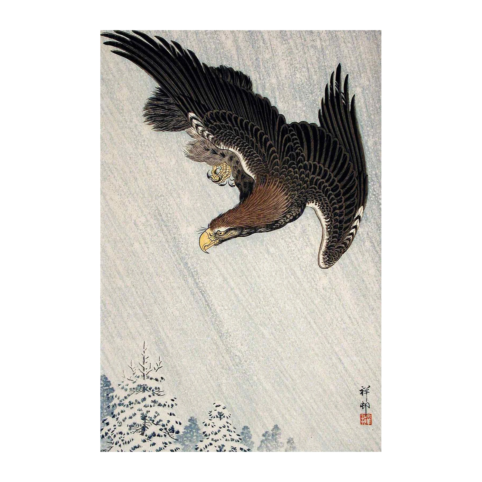 Majestic Eagle Descending Wall Art - Wildlife Art