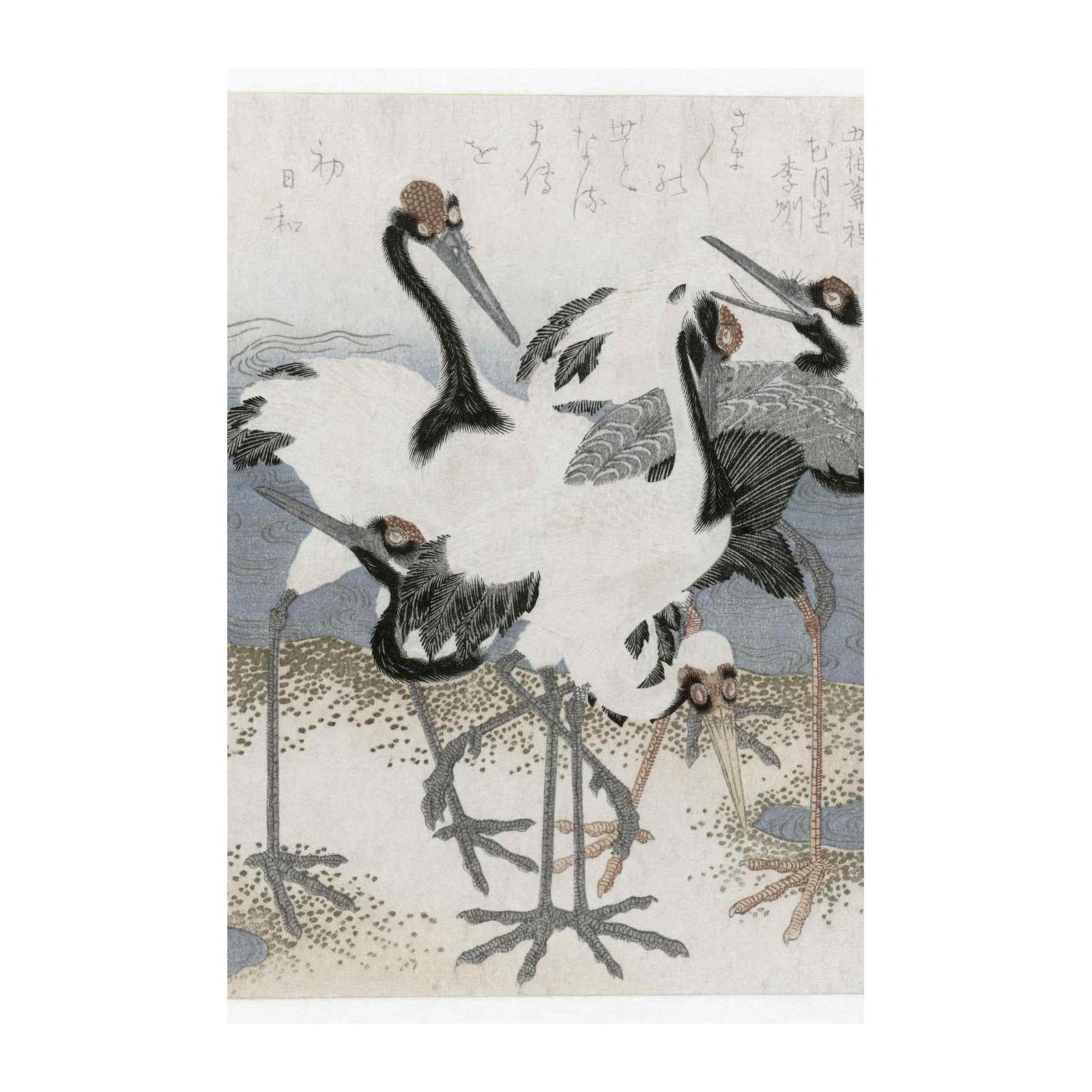 Elegant Crane Gathering Wall Art - Japanese Art