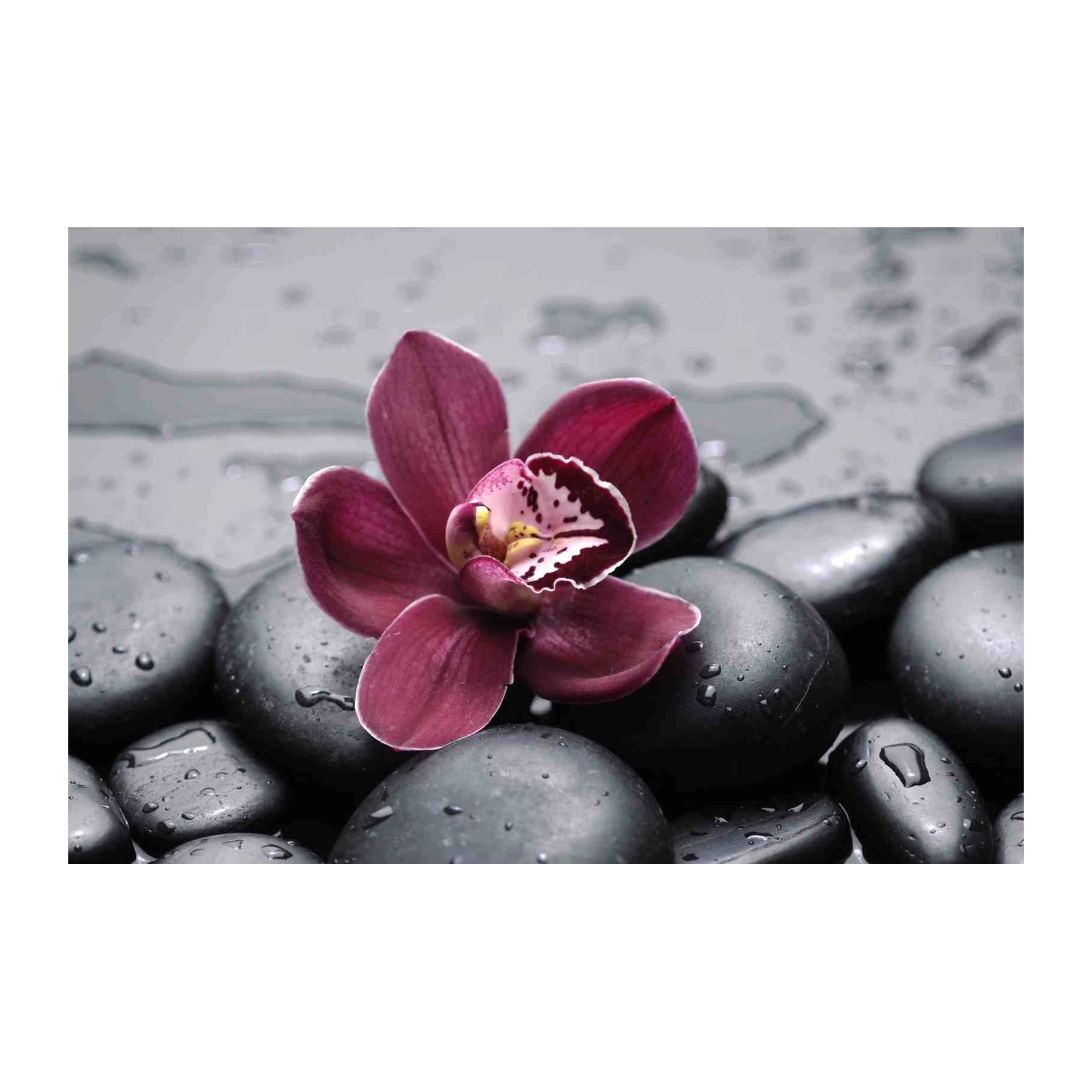 Zen Orchid & Stones Wall Art Wall Art