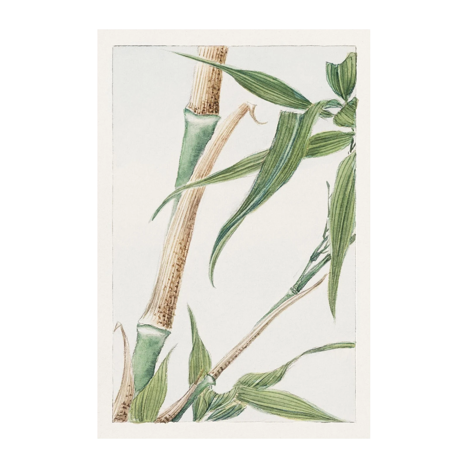 Serene Bamboo Botanical Wall Art