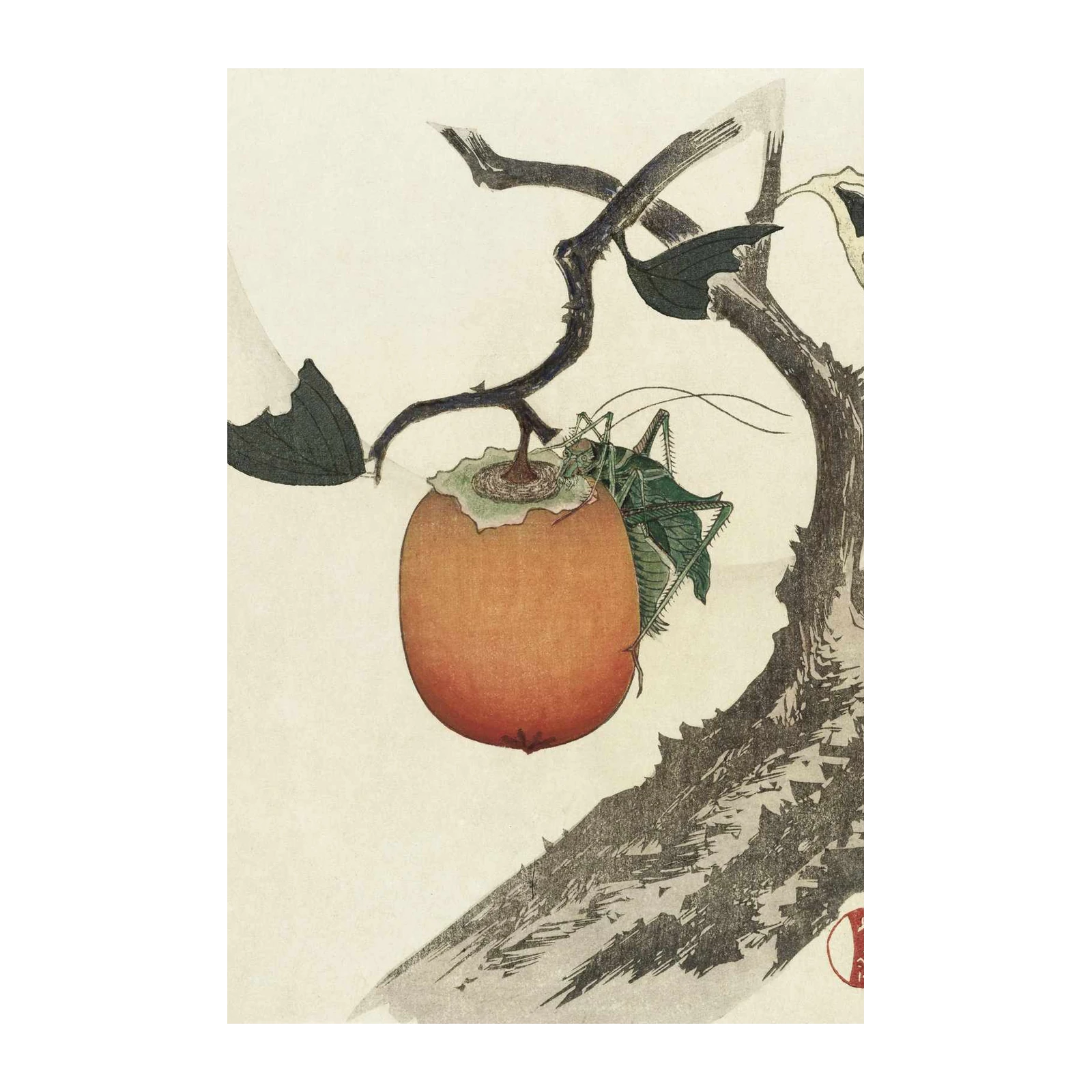 Japanese Grasshopper & Persimmon Wall Art
