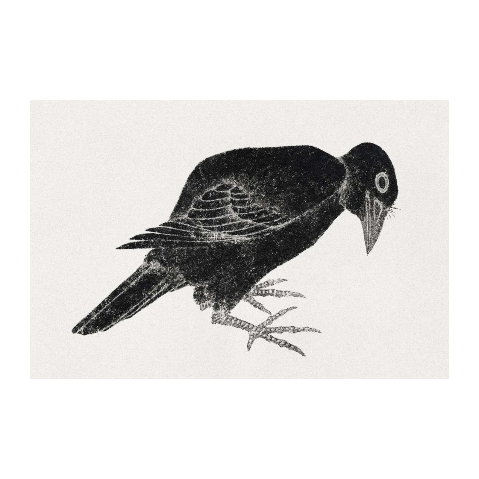 Gothic Crow Bird Art Wall Art