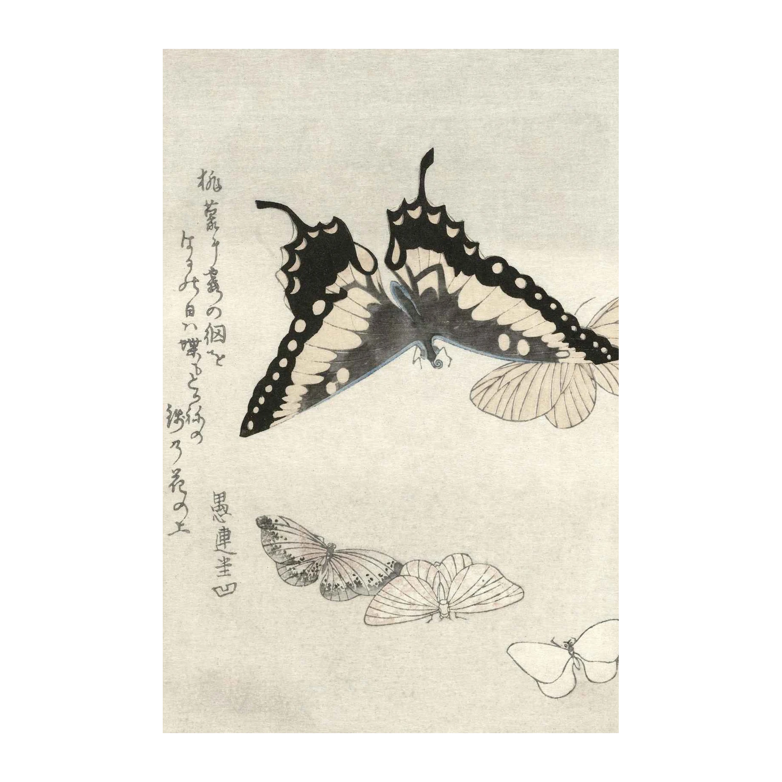Elegant Butterfly Studies Japanese Art Wall Art