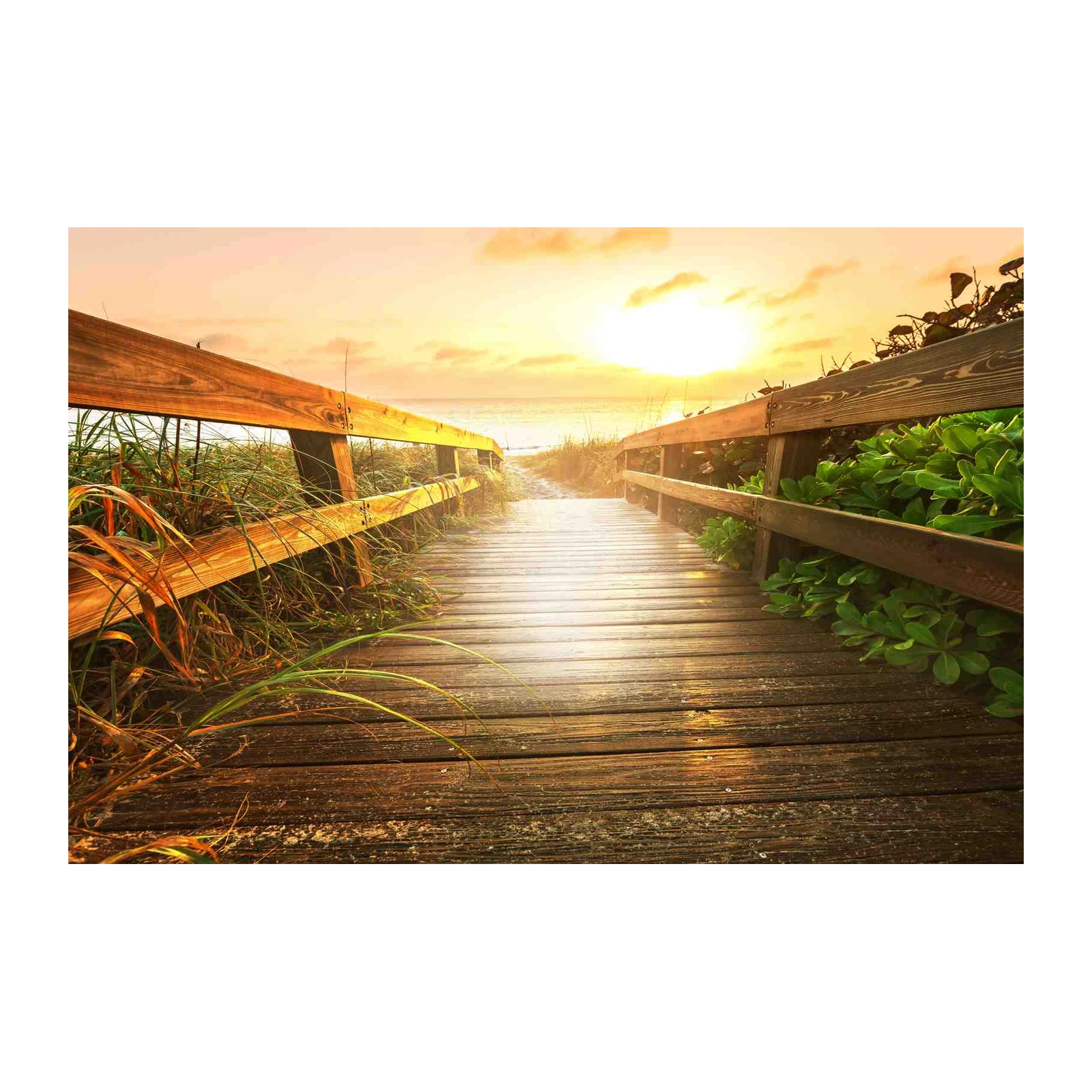 Golden Hour Beach Boardwalk Wall Art