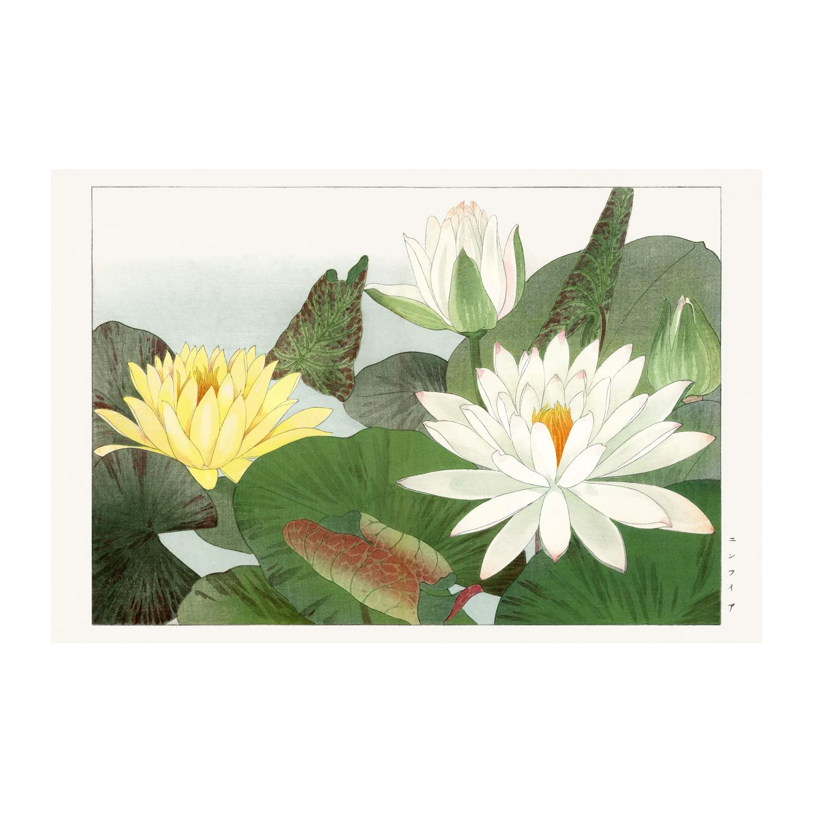 Serene Water Lily Garden Wall Art