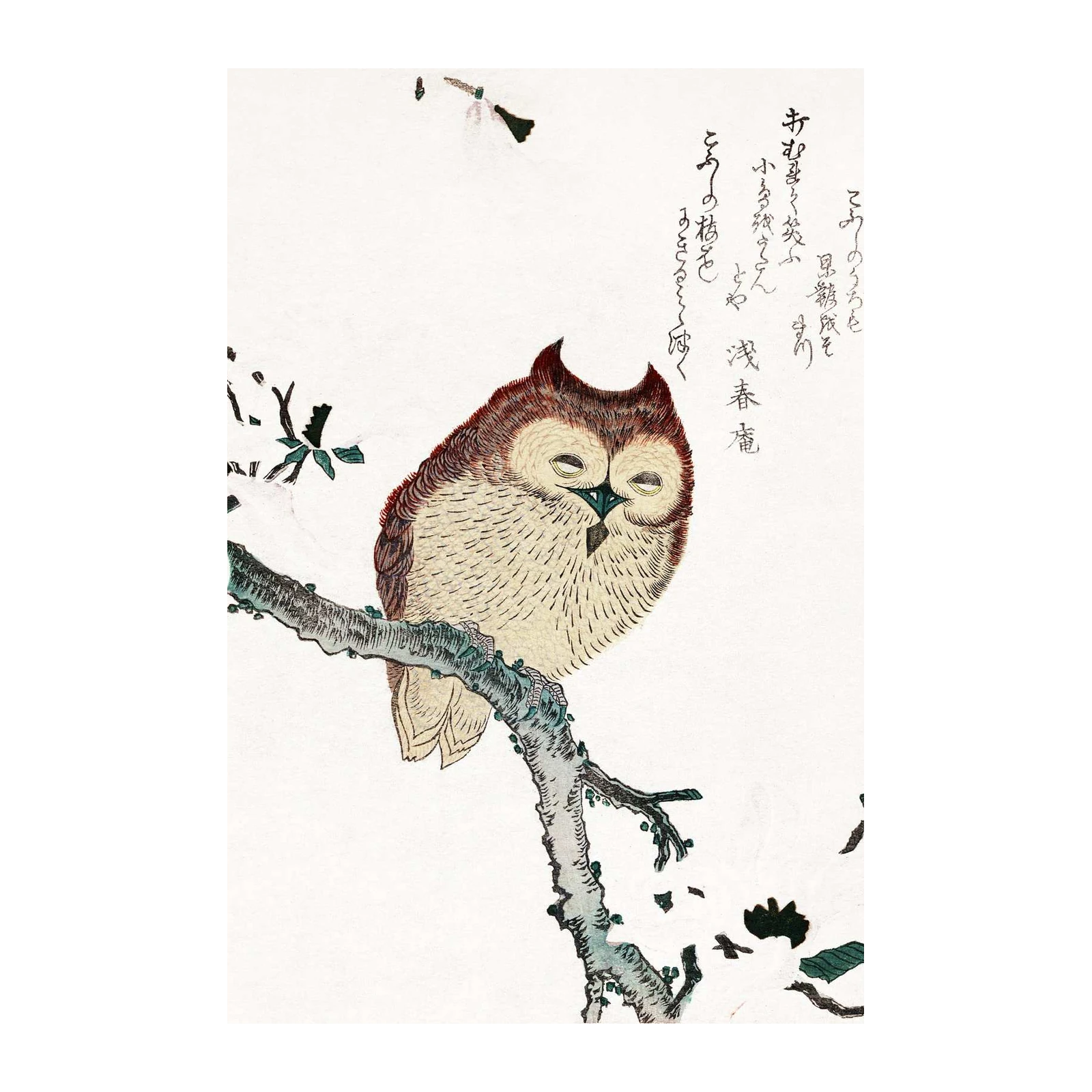 Serene Owl Zen Garden Wall Art
