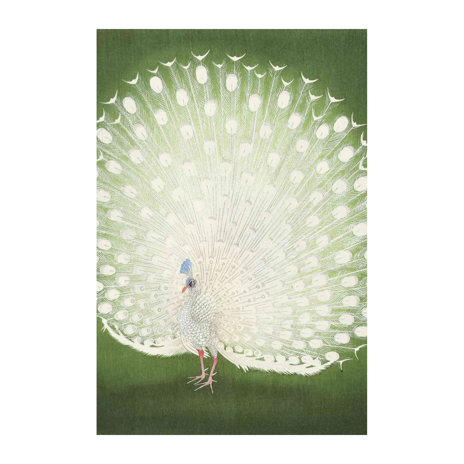 Elegant White Peacock Zen Garden Wall Art