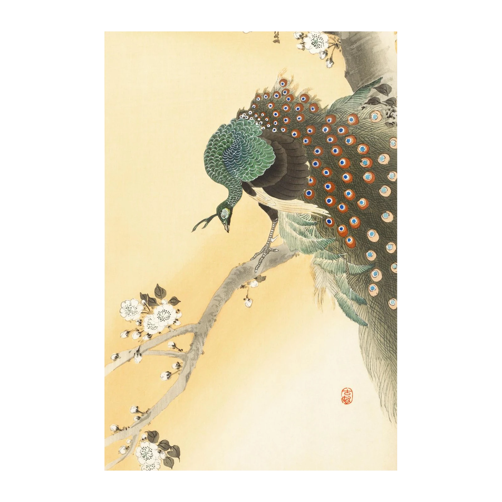 Elegant Peacock Plum Blossom Wall Art - Japanese Art